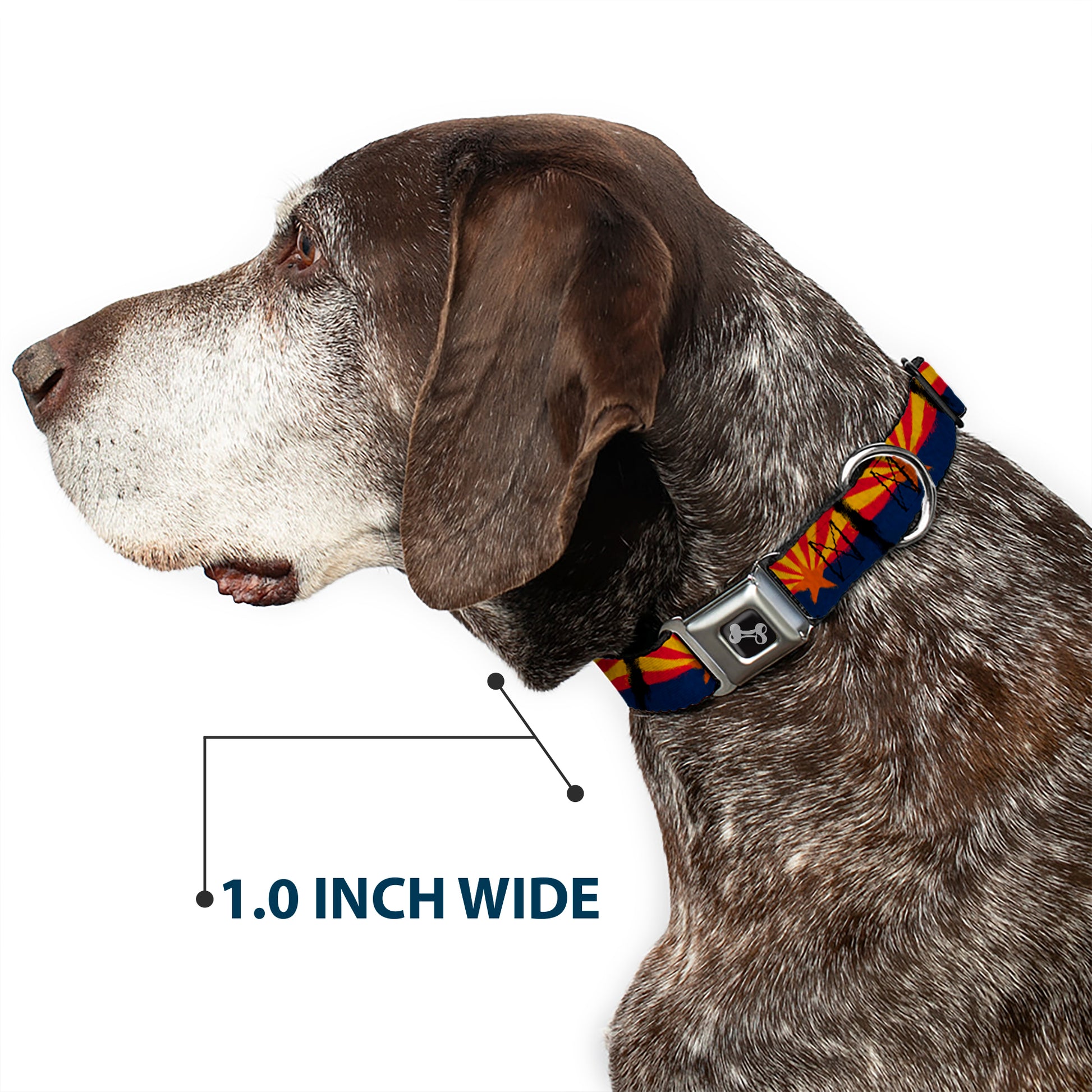 Dog Bone Seatbelt Buckle Collar - Arizona Flag Distressed Painting Seatbelt Buckle Collars Buckle-Down