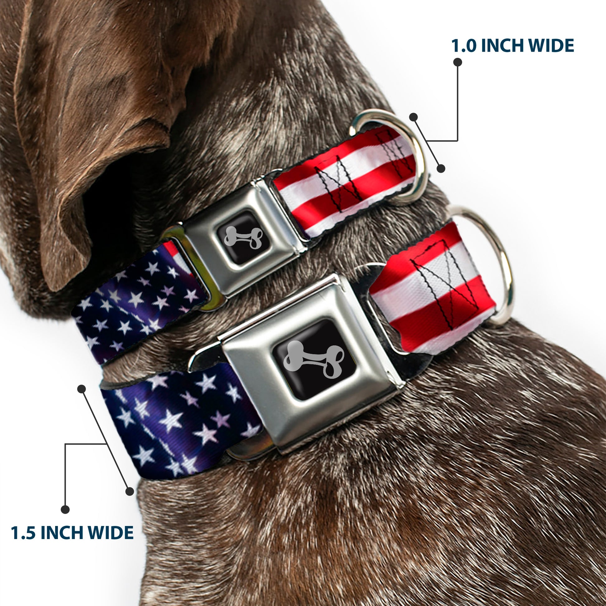 Dog Bone Seatbelt Buckle Collar - American Flag Vivid CLOSE-UP Seatbelt Buckle Collars Buckle-Down