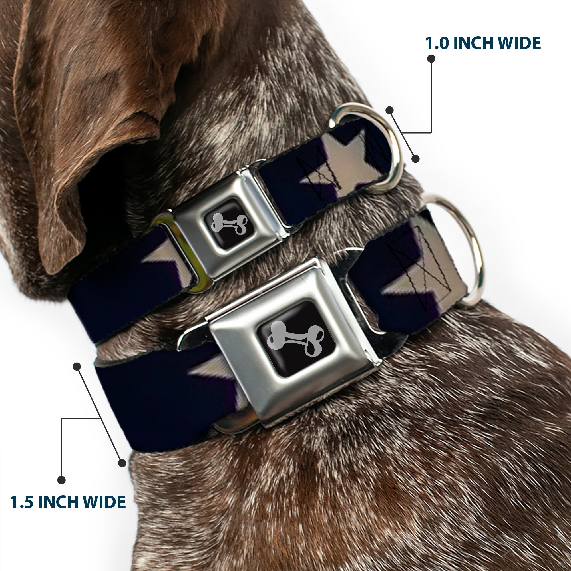 Dog Bone Seatbelt Buckle Collar - American Flag Vivid Stars CLOSE-UP Blue/White Seatbelt Buckle Collars Buckle-Down