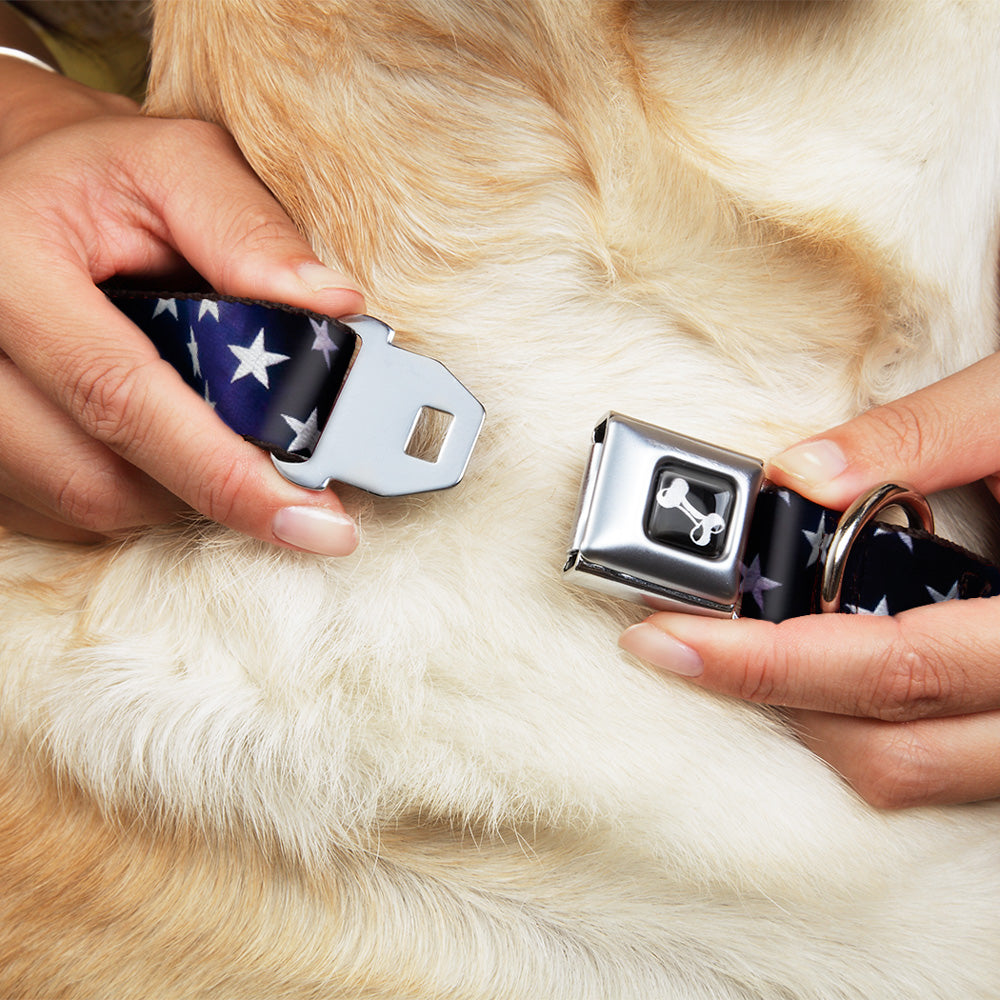 Dog Bone Seatbelt Buckle Collar - American Flag Vivid Stars Blue/White Seatbelt Buckle Collars Buckle-Down