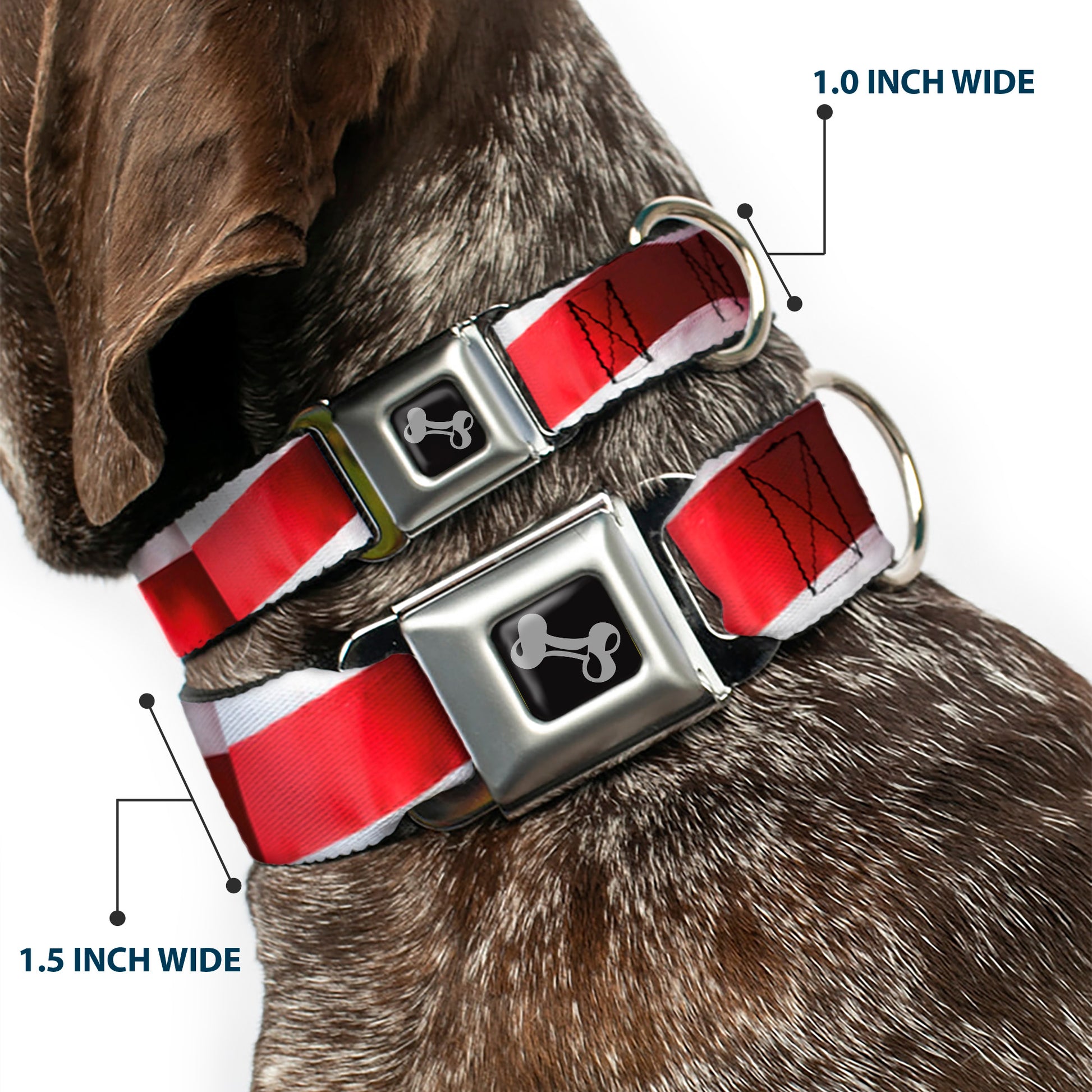 Dog Bone Seatbelt Buckle Collar - American Flag Vivid Stripes CLOSE-UP Red/White Seatbelt Buckle Collars Buckle-Down