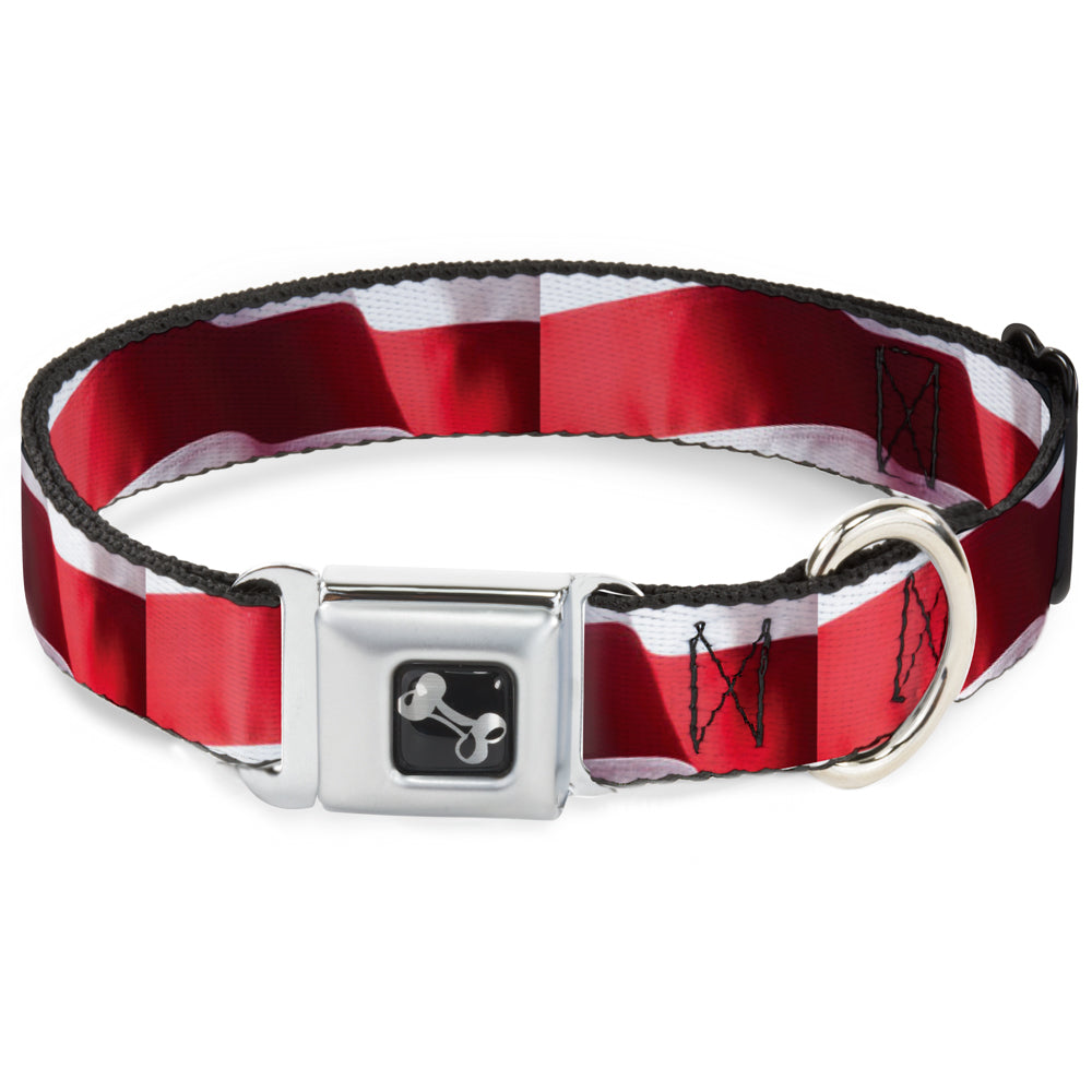 Dog Bone Seatbelt Buckle Collar - American Flag Vivid Stripes CLOSE-UP Red/White Seatbelt Buckle Collars Buckle-Down