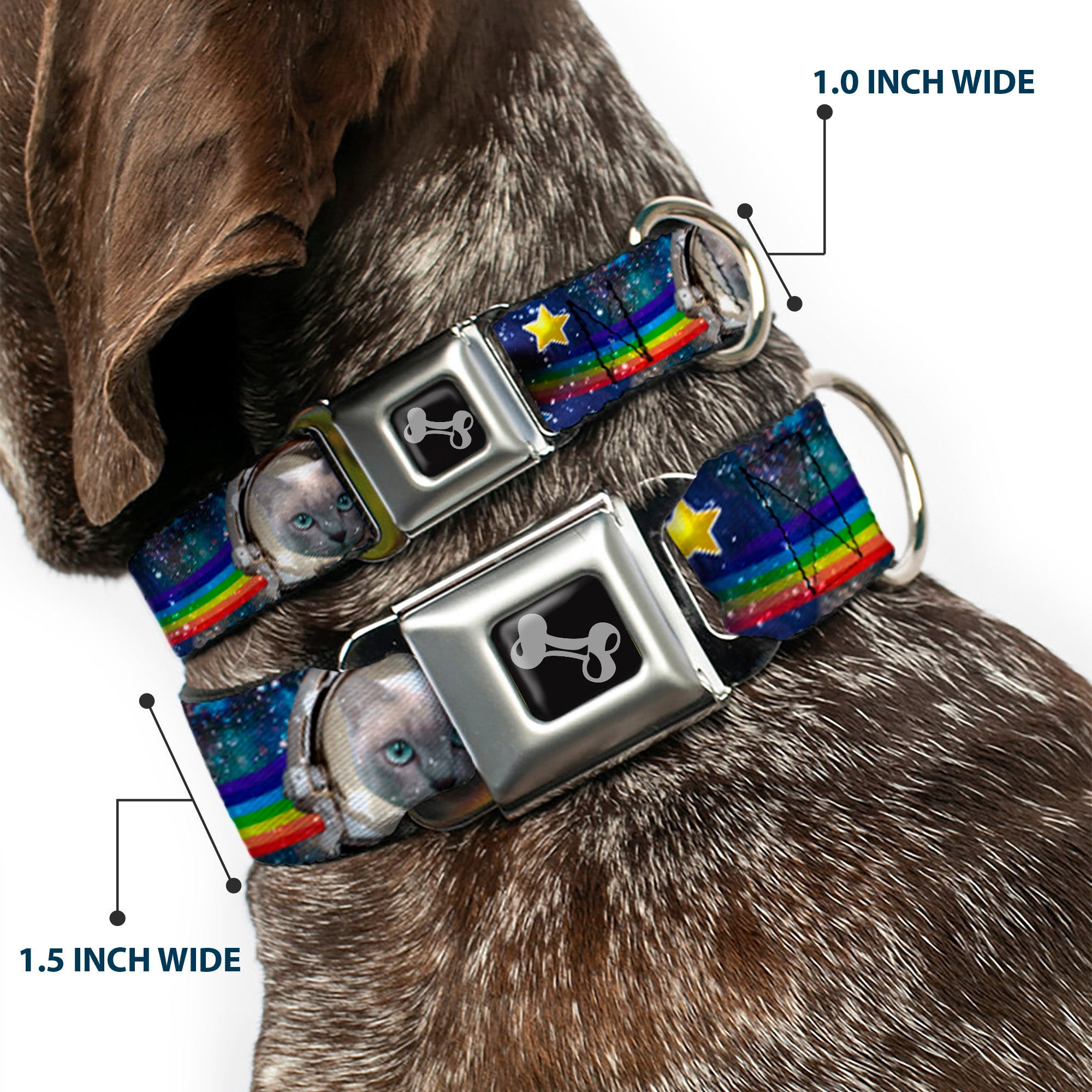 Dog Bone Seatbelt Buckle Collar - Astronaut Cats in Space/Rainbows/Stars Seatbelt Buckle Collars Buckle-Down
