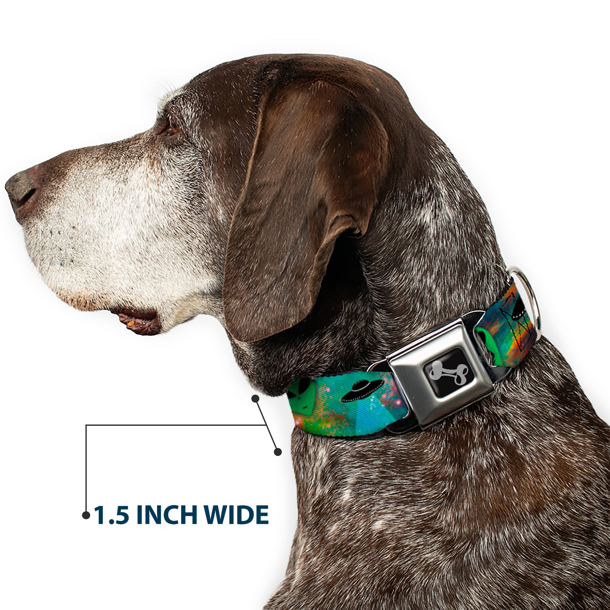 Dog Bone Seatbelt Buckle Collar - Aliens & UFO's Galaxy/Green/Black/White Seatbelt Buckle Collars Buckle-Down
