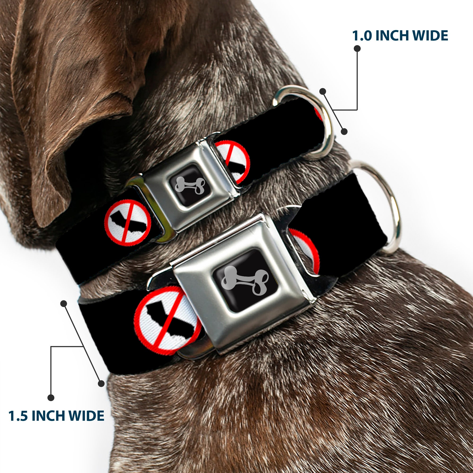 Dog Bone Seatbelt Buckle Collar - Anti-California Logo Black/Red/White Seatbelt Buckle Collars Buckle-Down