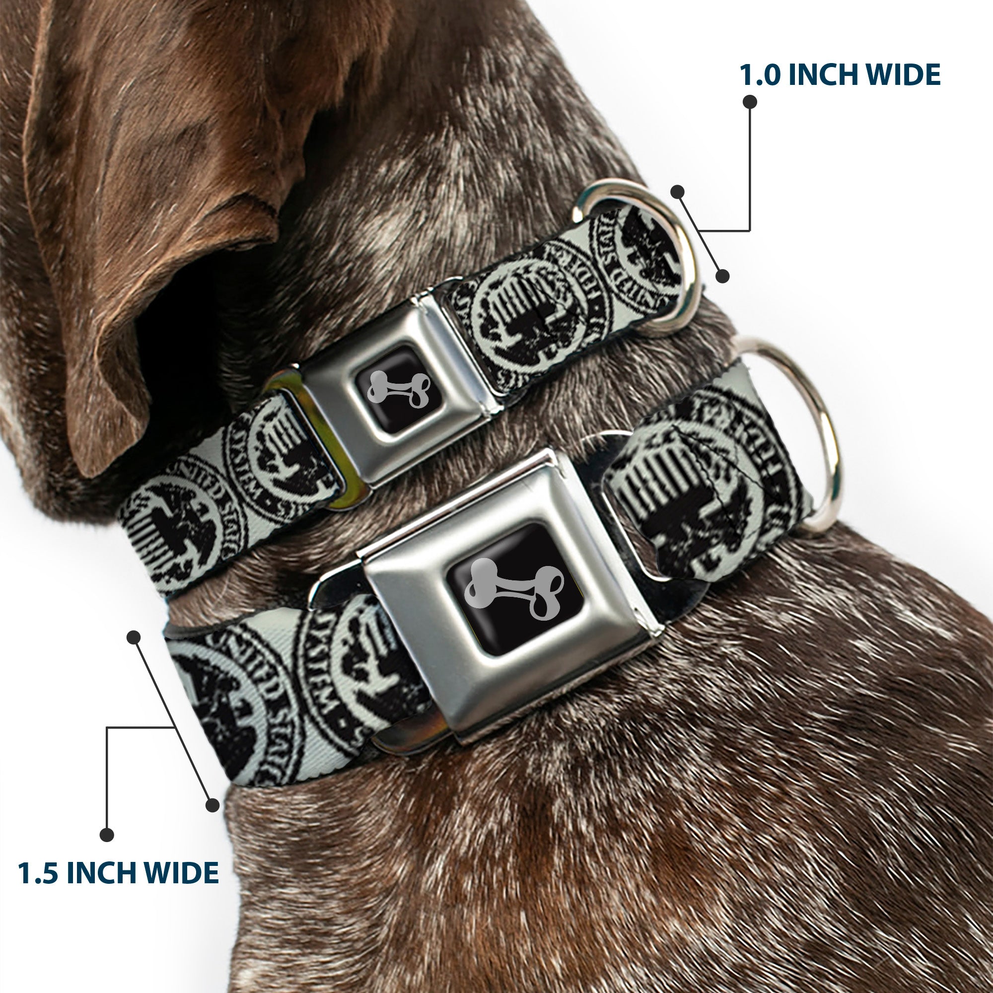 Dog Bone Seatbelt Buckle Collar - Americana Federal Reserve Seal Weathered Gray/Black Seatbelt Buckle Collars Buckle-Down