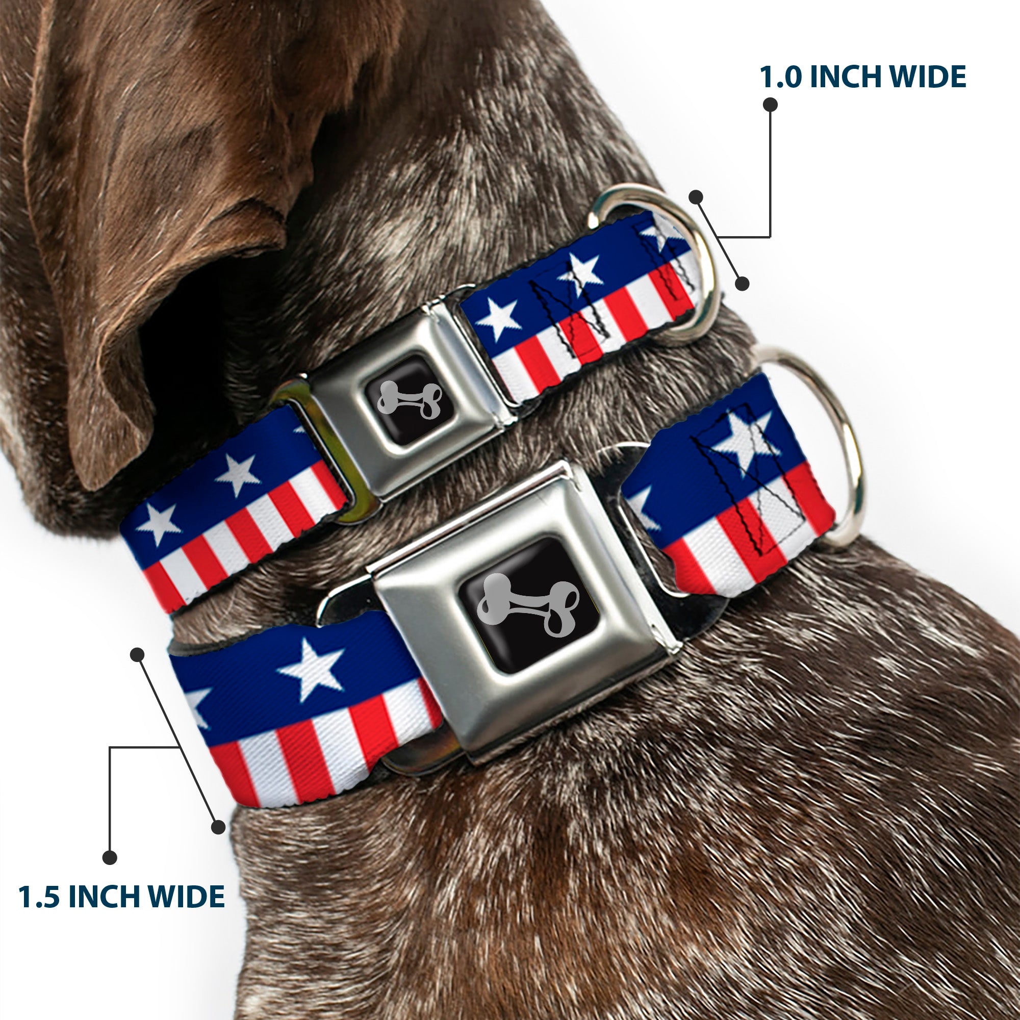 Dog Bone Seatbelt Buckle Collar - Americana Stars & Stripes2 Blue/White/Red/White Seatbelt Buckle Collars Buckle-Down