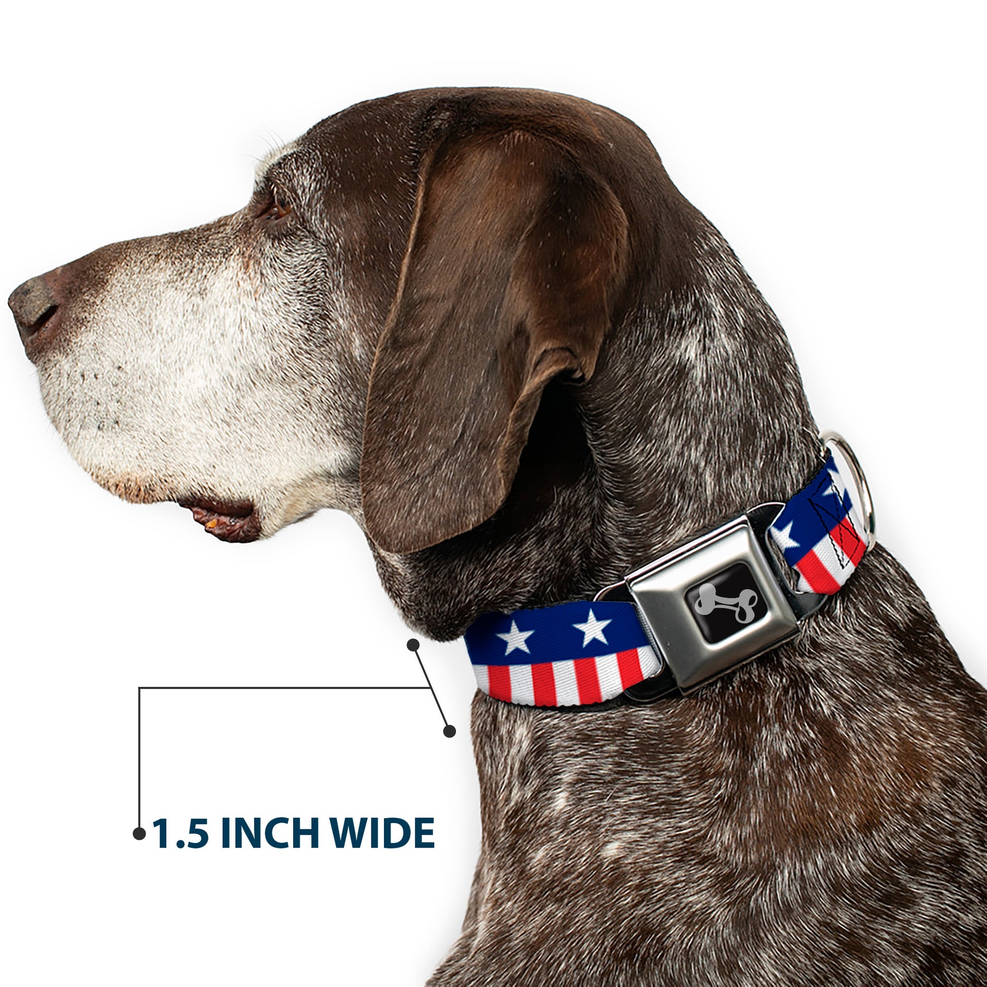 Dog Bone Seatbelt Buckle Collar - Americana Stars & Stripes2 Blue/White/Red/White Seatbelt Buckle Collars Buckle-Down
