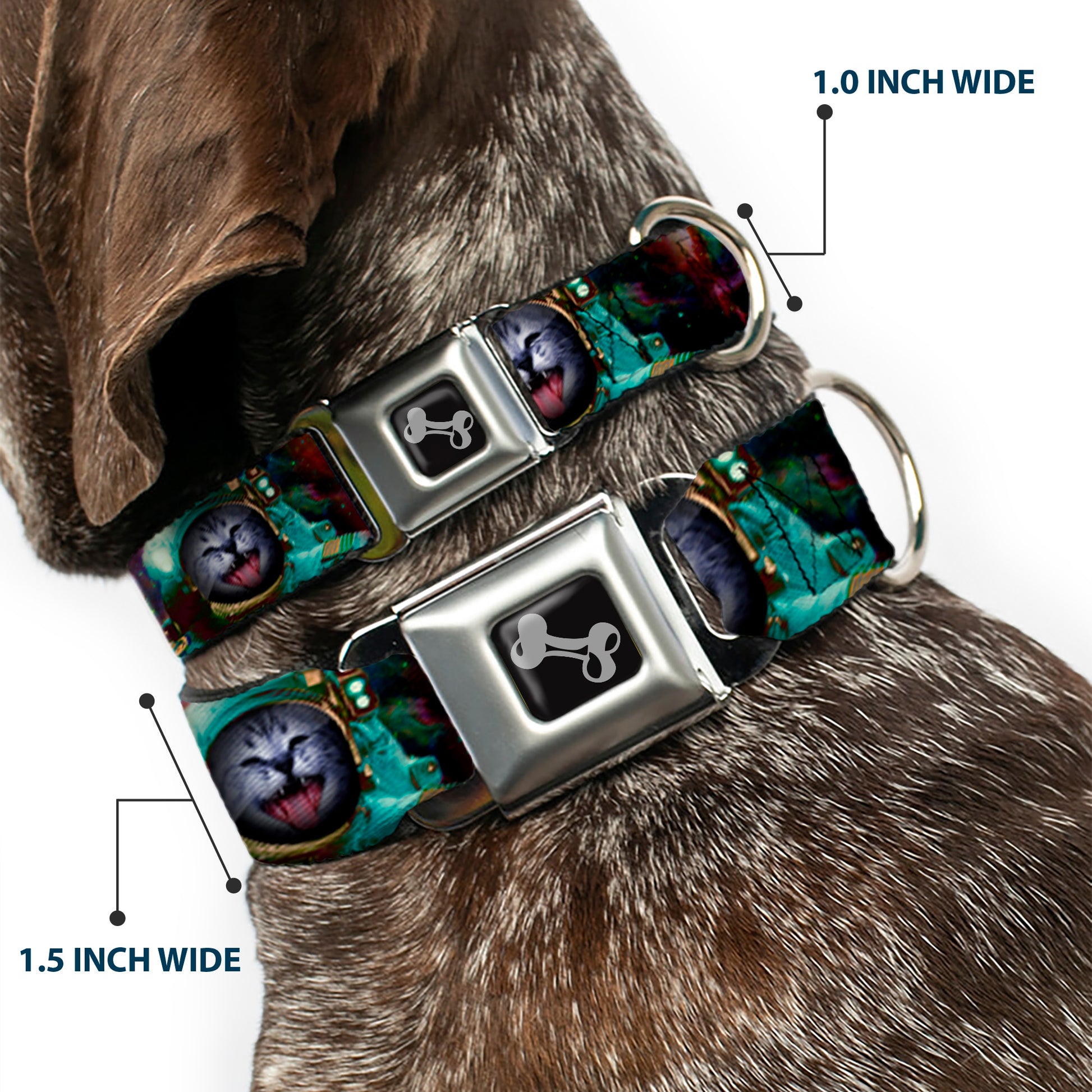 Dog Bone Seatbelt Buckle Collar - Astronaut Cat in Space Seatbelt Buckle Collars Buckle-Down