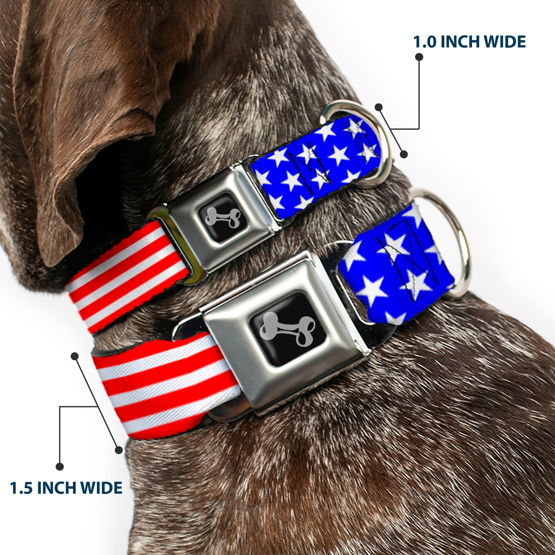 Dog Bone Seatbelt Buckle Collar - Americana Stars & Stripes2 Red/White/Blue Seatbelt Buckle Collars Buckle-Down