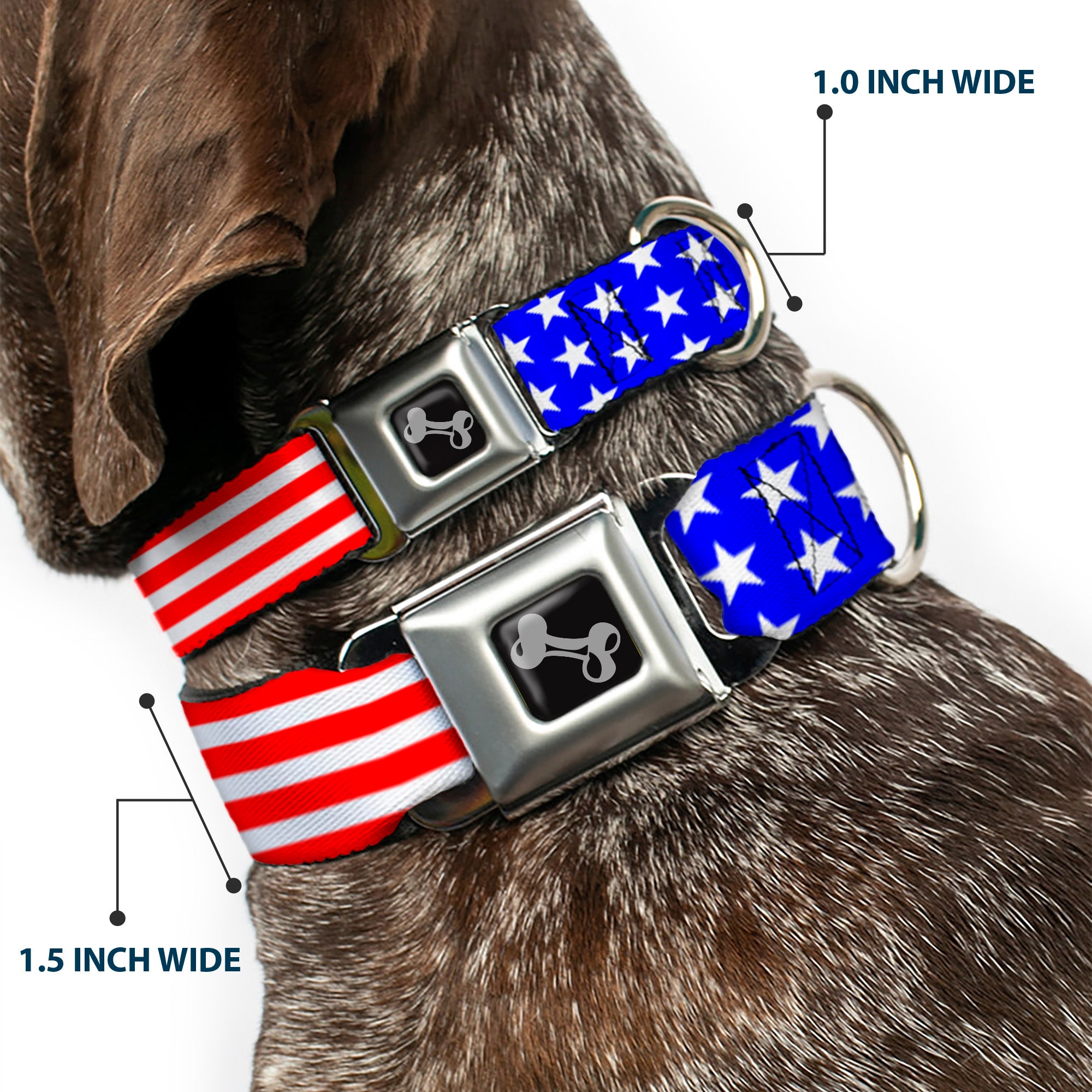 Dog Bone Seatbelt Buckle Collar - Americana Stars & Stripes2 Red/White/Blue Seatbelt Buckle Collars Buckle-Down