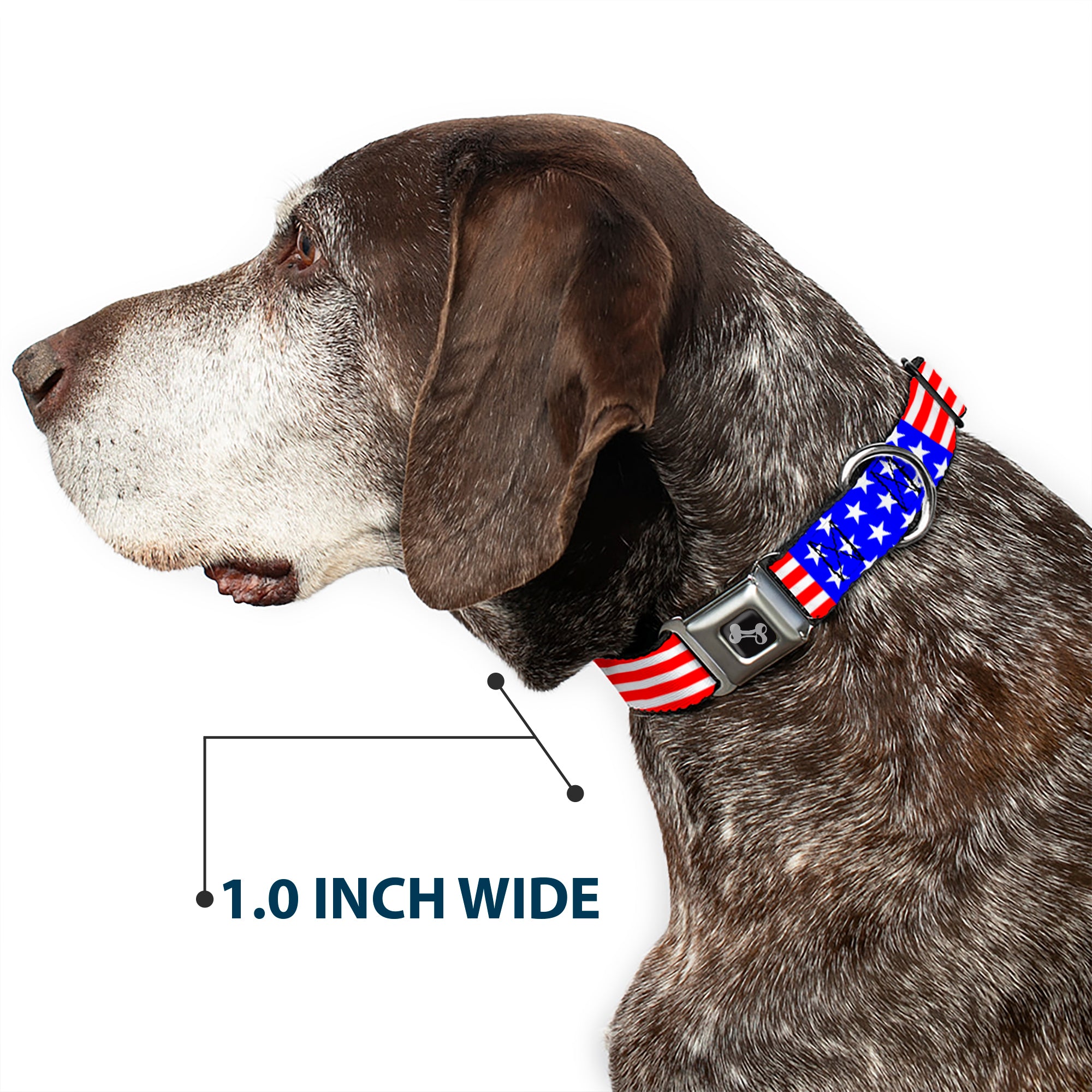 Dog Bone Seatbelt Buckle Collar - Americana Stars & Stripes2 Red/White/Blue Seatbelt Buckle Collars Buckle-Down