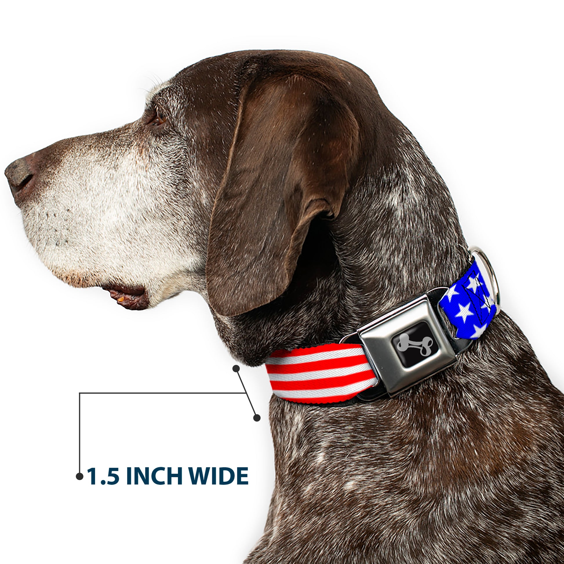 Dog Bone Seatbelt Buckle Collar - Americana Stars & Stripes2 Red/White/Blue Seatbelt Buckle Collars Buckle-Down