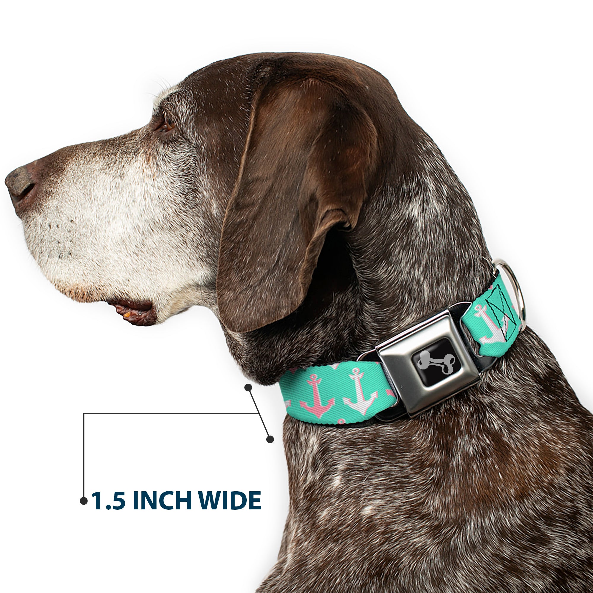 Dog Bone Seatbelt Buckle Collar - Anchor2 CLOSE-UP Green/Pink/White Seatbelt Buckle Collars Buckle-Down