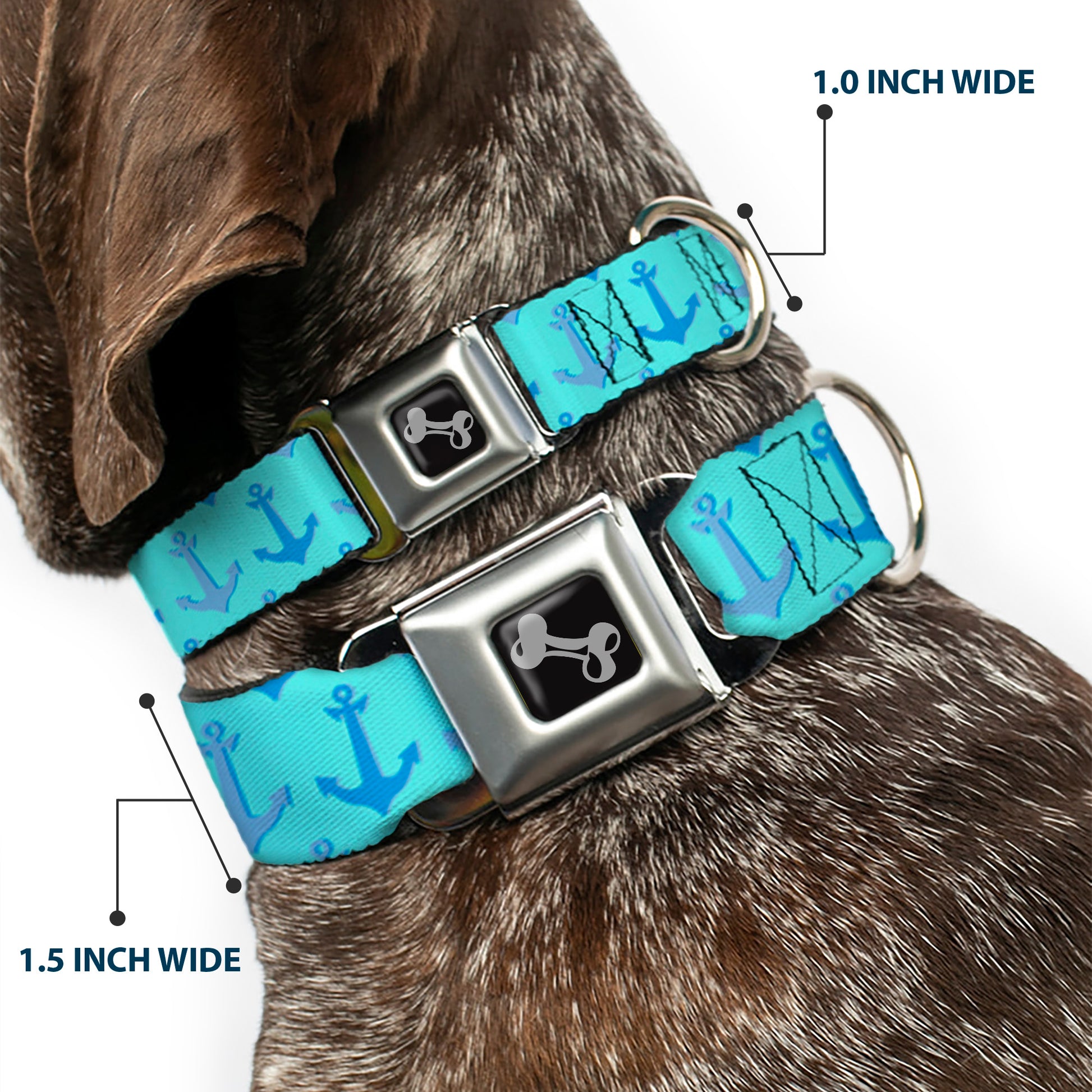 Dog Bone Seatbelt Buckle Collar - Anchor2 CLOSE-UP Turquoise/Blues Seatbelt Buckle Collars Buckle-Down