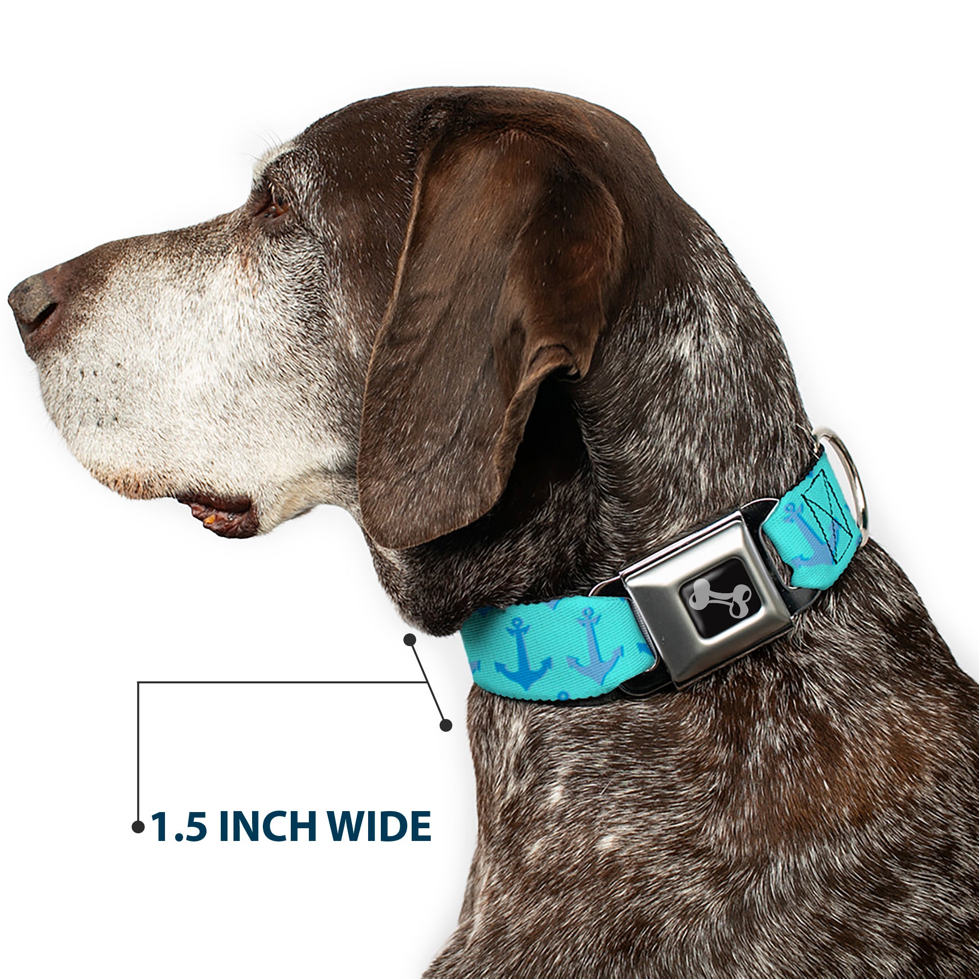 Dog Bone Seatbelt Buckle Collar - Anchor2 CLOSE-UP Turquoise/Blues Seatbelt Buckle Collars Buckle-Down