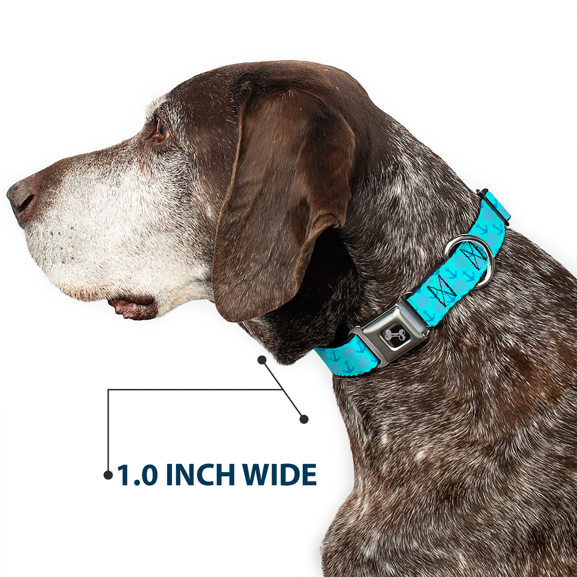 Dog Bone Seatbelt Buckle Collar - Anchor2/Helm Monogram Blues Seatbelt Buckle Collars Buckle-Down