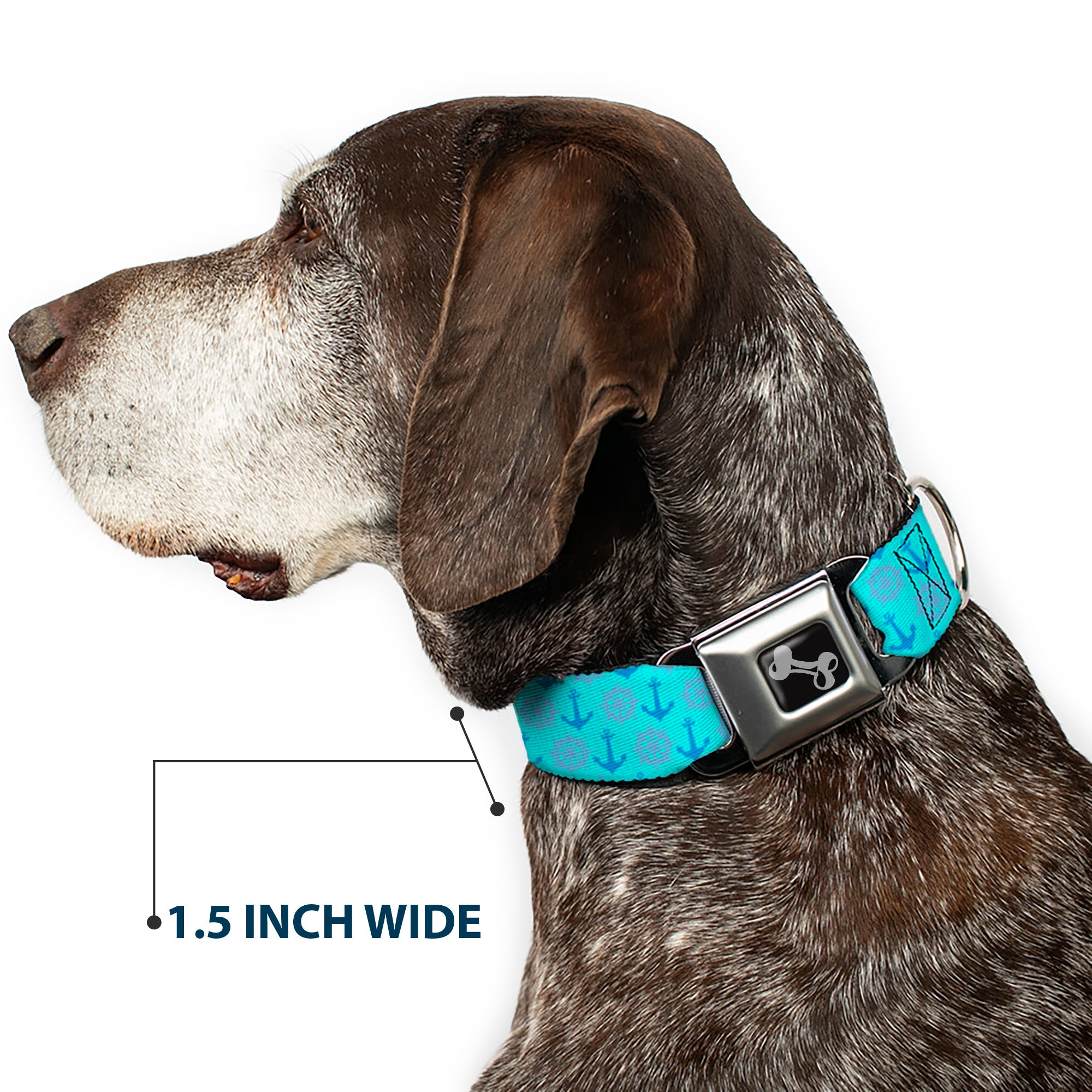 Dog Bone Seatbelt Buckle Collar - Anchor2/Helm Monogram Blues Seatbelt Buckle Collars Buckle-Down