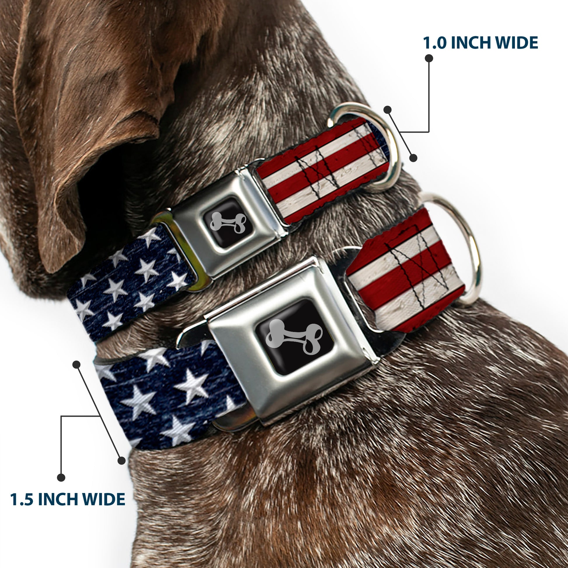 Dog Bone Seatbelt Buckle Collar - Americana Rustic Stars & Stripes Seatbelt Buckle Collars Buckle-Down