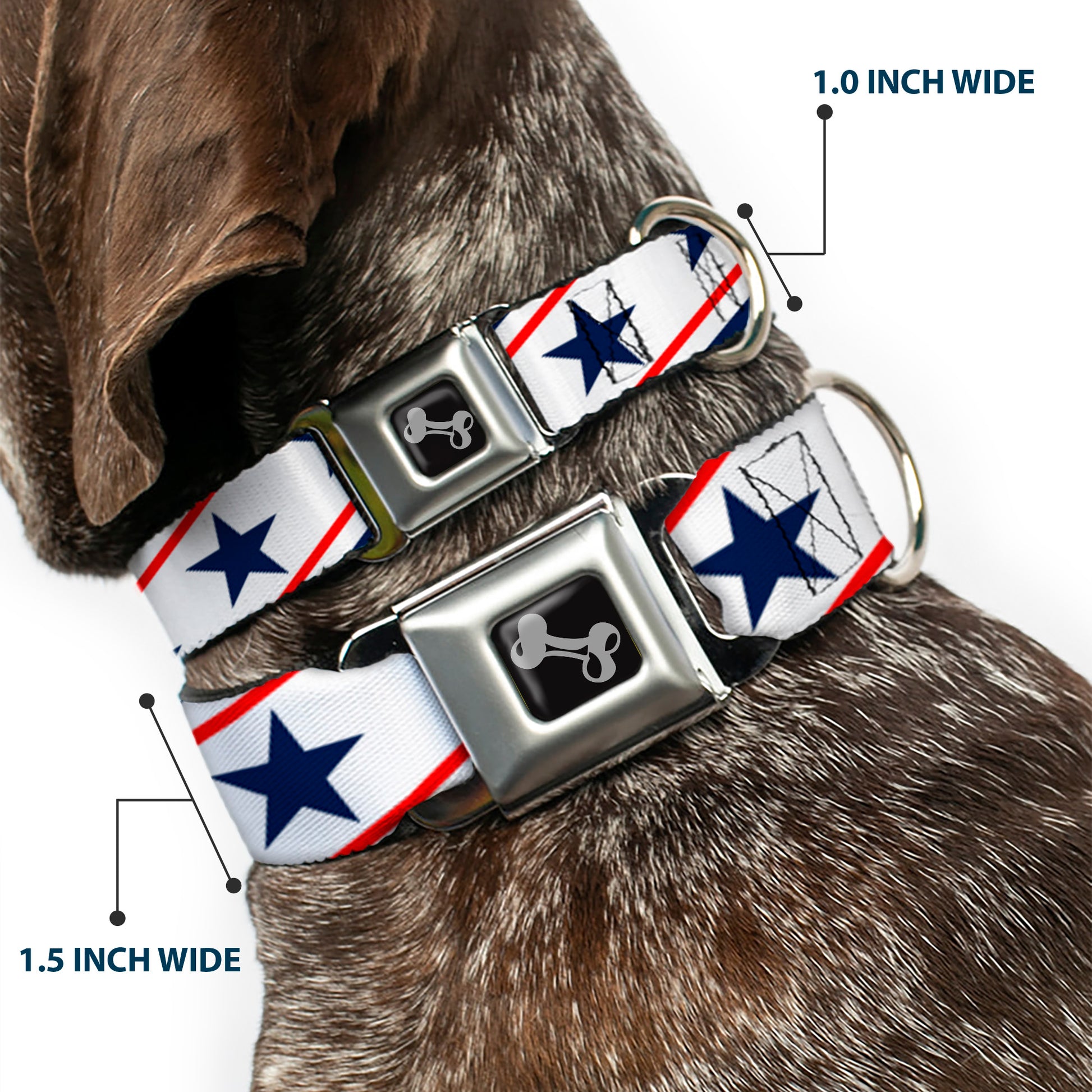 Dog Bone Seatbelt Buckle Collar - Americana Diagonal Stars & Stripes White/Red/Blue Seatbelt Buckle Collars Buckle-Down
