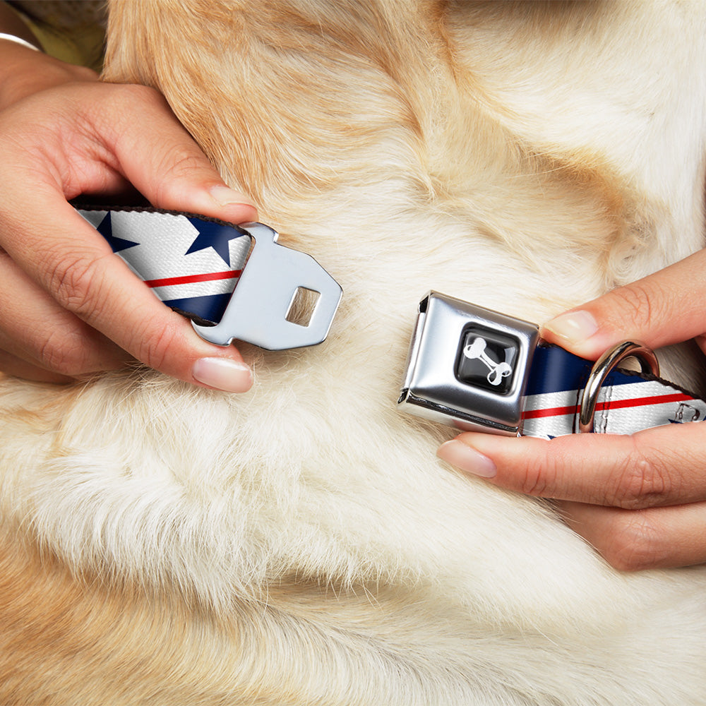 Dog Bone Seatbelt Buckle Collar - Americana Diagonal Stars & Stripes White/Red/Blue Seatbelt Buckle Collars Buckle-Down