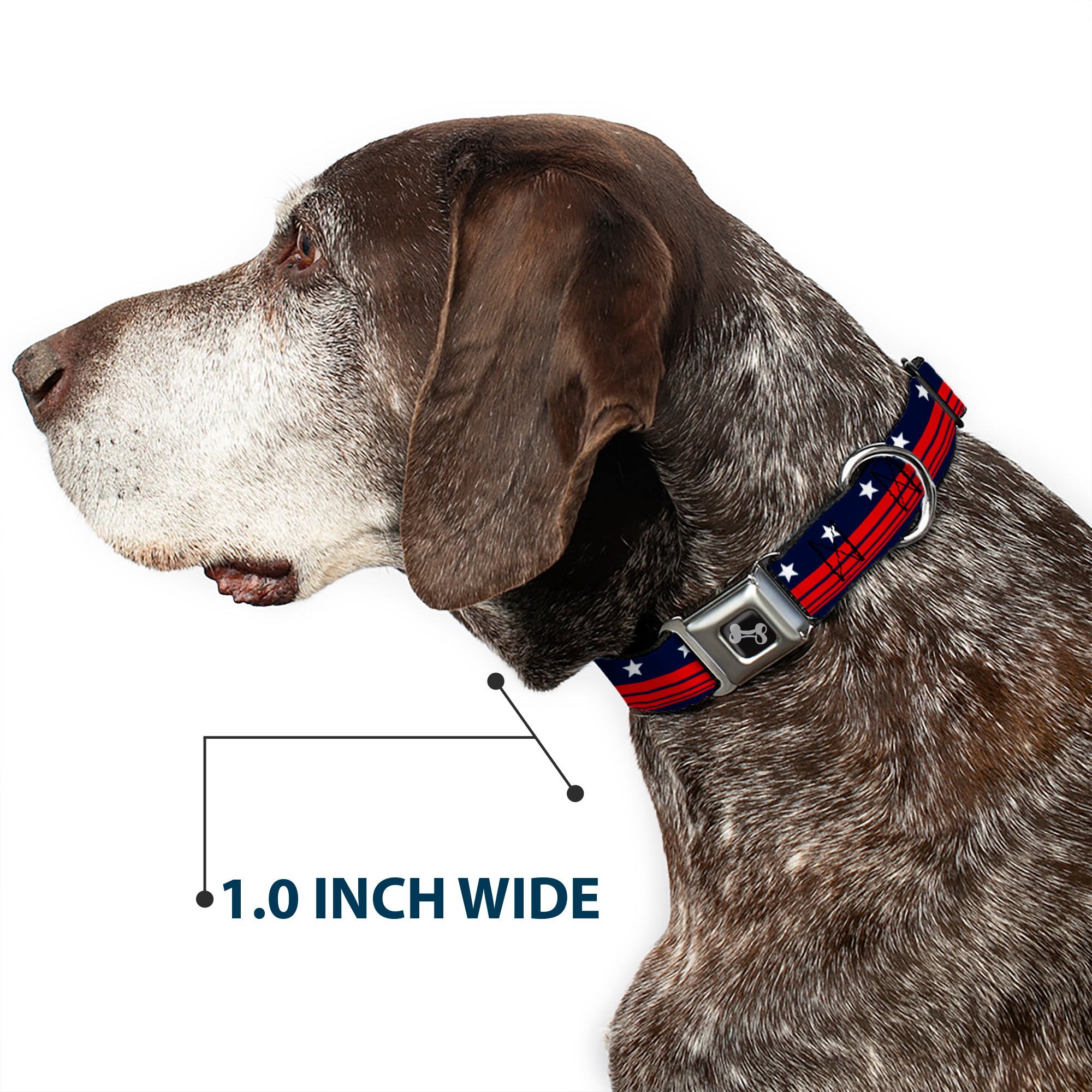Dog Bone Seatbelt Buckle Collar - Americana Stars & Stripes4 Blue/White/Red Seatbelt Buckle Collars Buckle-Down
