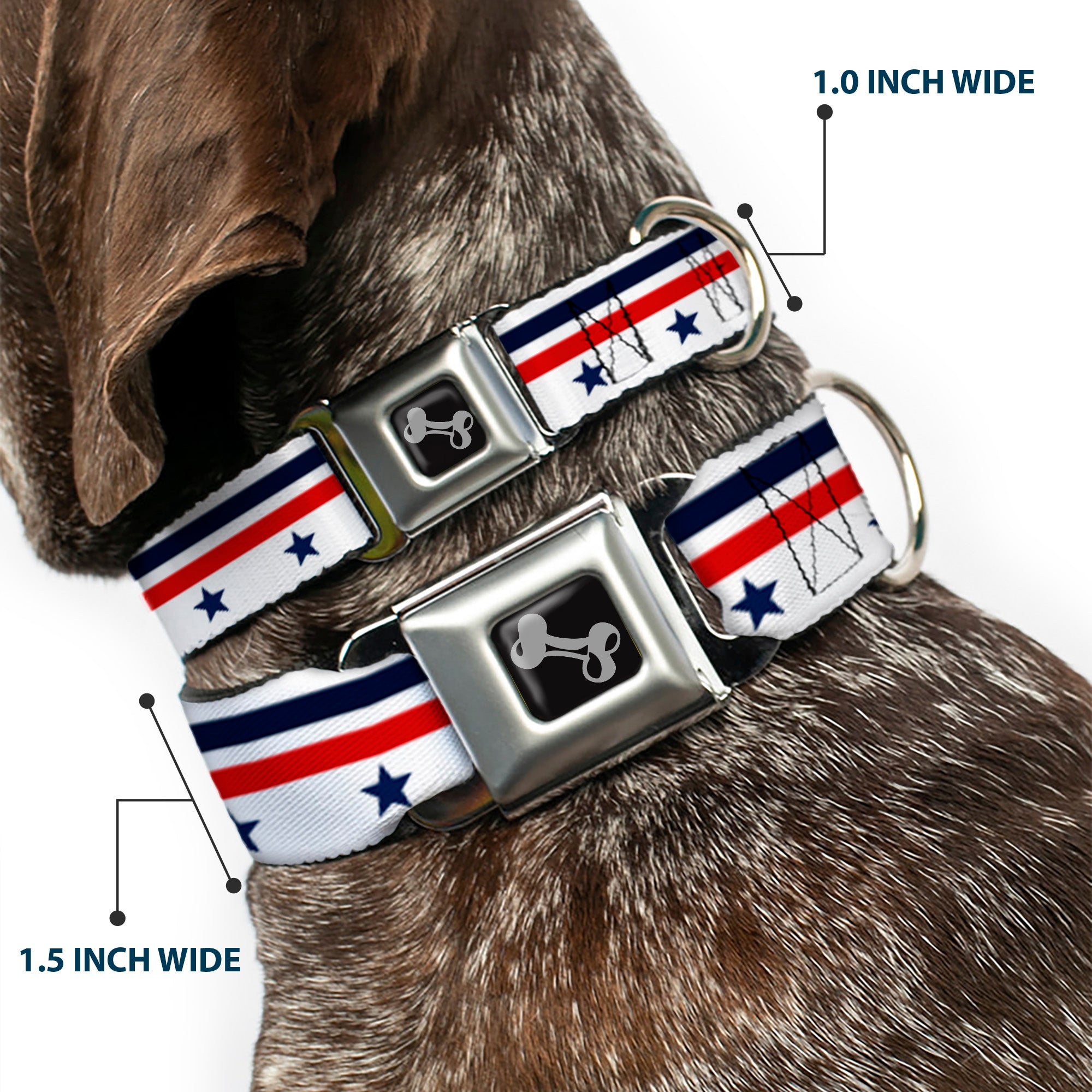 Dog Bone Seatbelt Buckle Collar - Americana Stars & Stripes5 White/Blue/Red Seatbelt Buckle Collars Buckle-Down