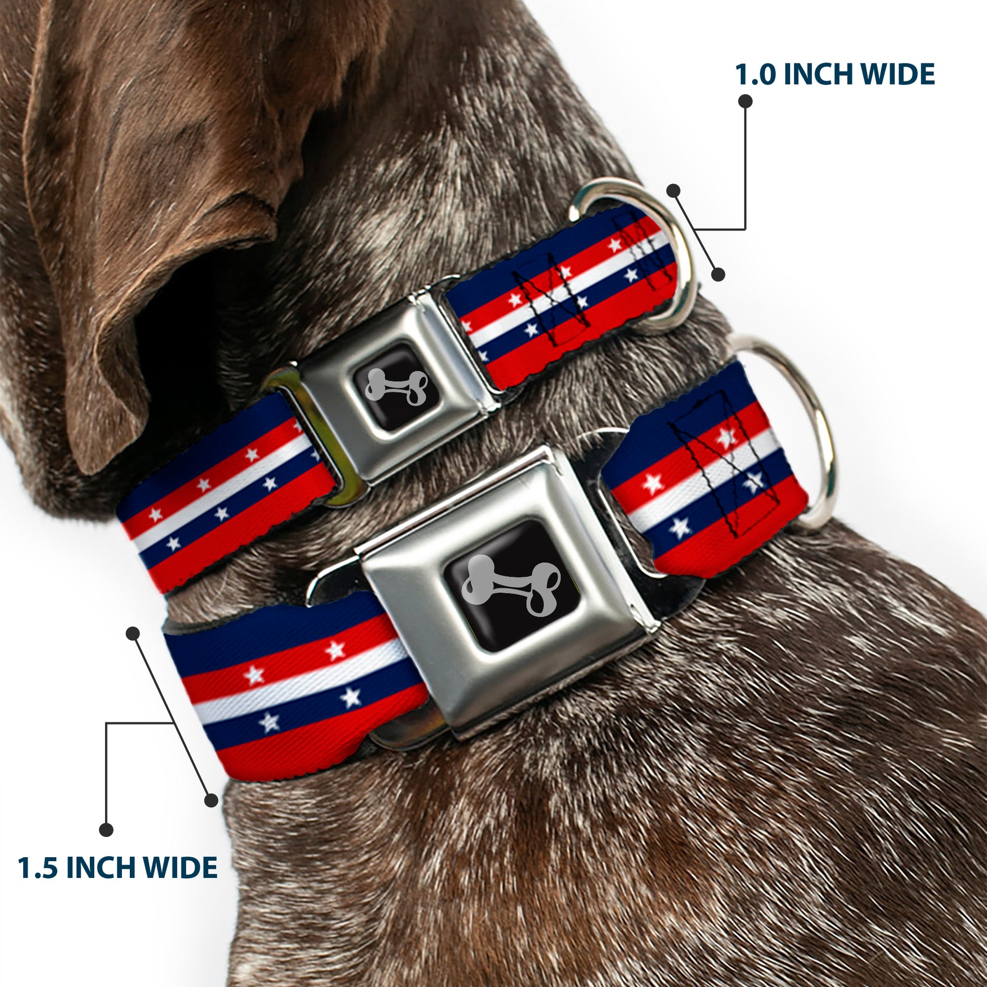 Dog Bone Seatbelt Buckle Collar - Americana Stripe w/Stars Blue/Red/White Seatbelt Buckle Collars Buckle-Down