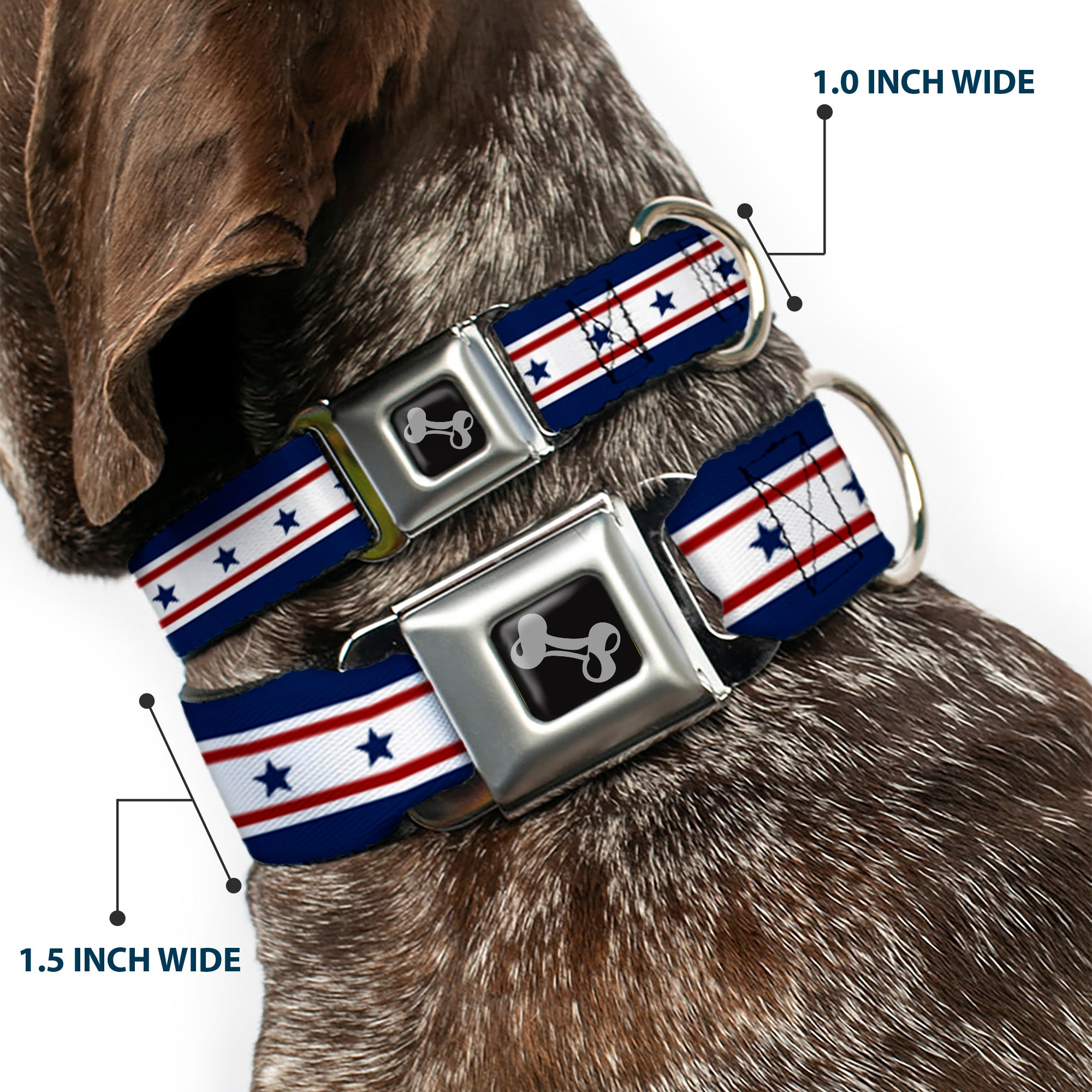 Dog Bone Seatbelt Buckle Collar - Americana Stars & Stripes 6 Blue/White/Red Seatbelt Buckle Collars Buckle-Down