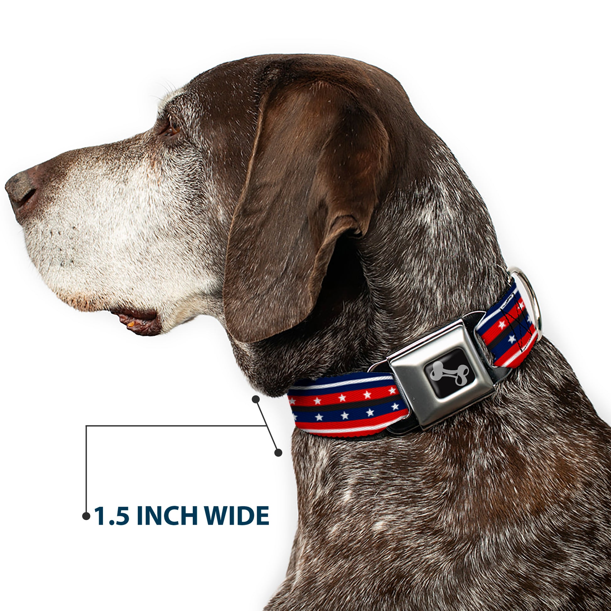 Dog Bone Seatbelt Buckle Collar - Americana Stripe w/Stars2 Blue/Red/White Seatbelt Buckle Collars Buckle-Down