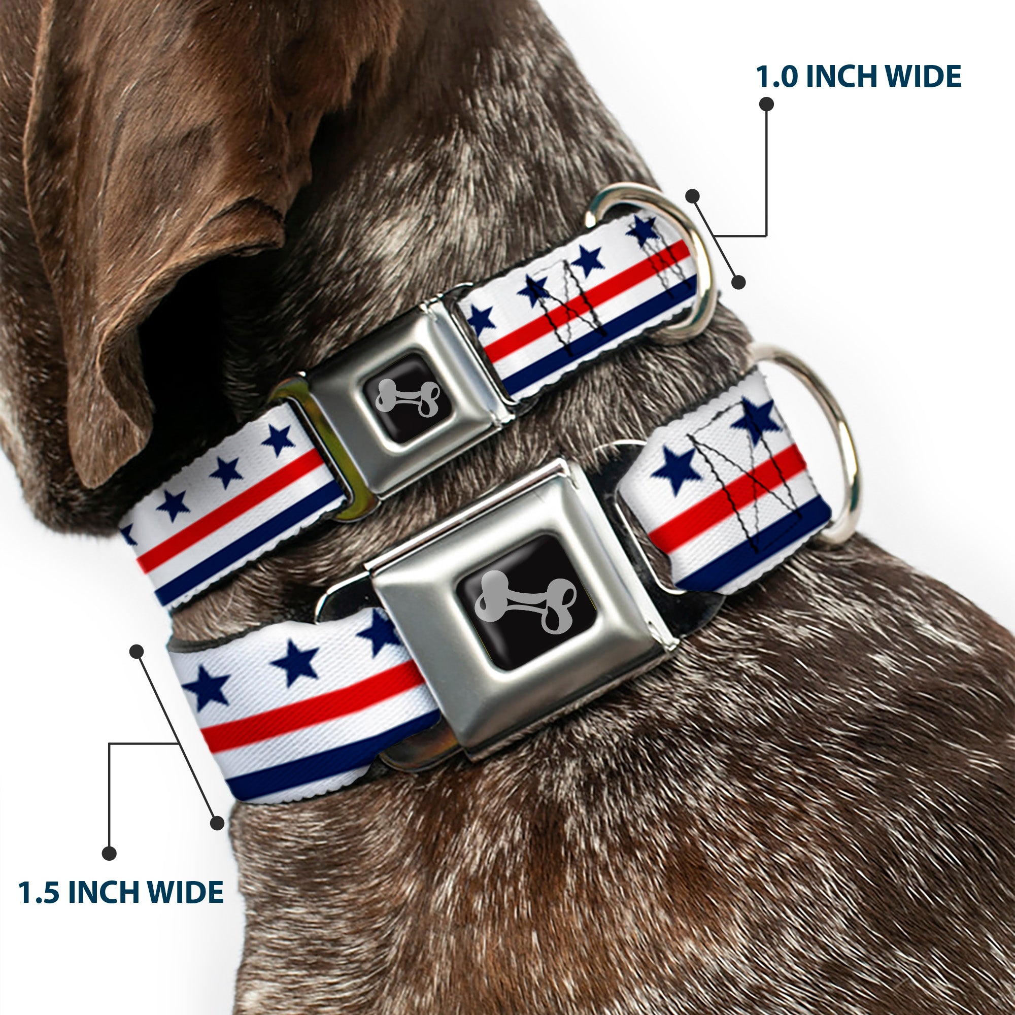 Dog Bone Seatbelt Buckle Collar - Americana Stars & Stripes7 White/Blue/Red Seatbelt Buckle Collars Buckle-Down