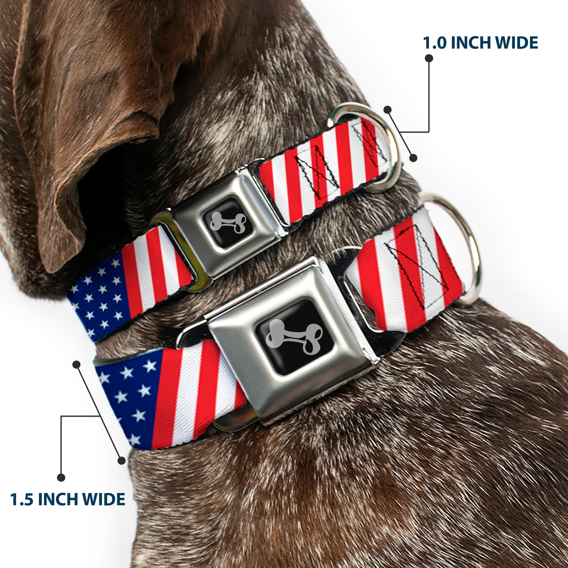 Dog Bone Seatbelt Buckle Collar - American Flag Diagonal Seatbelt Buckle Collars Buckle-Down