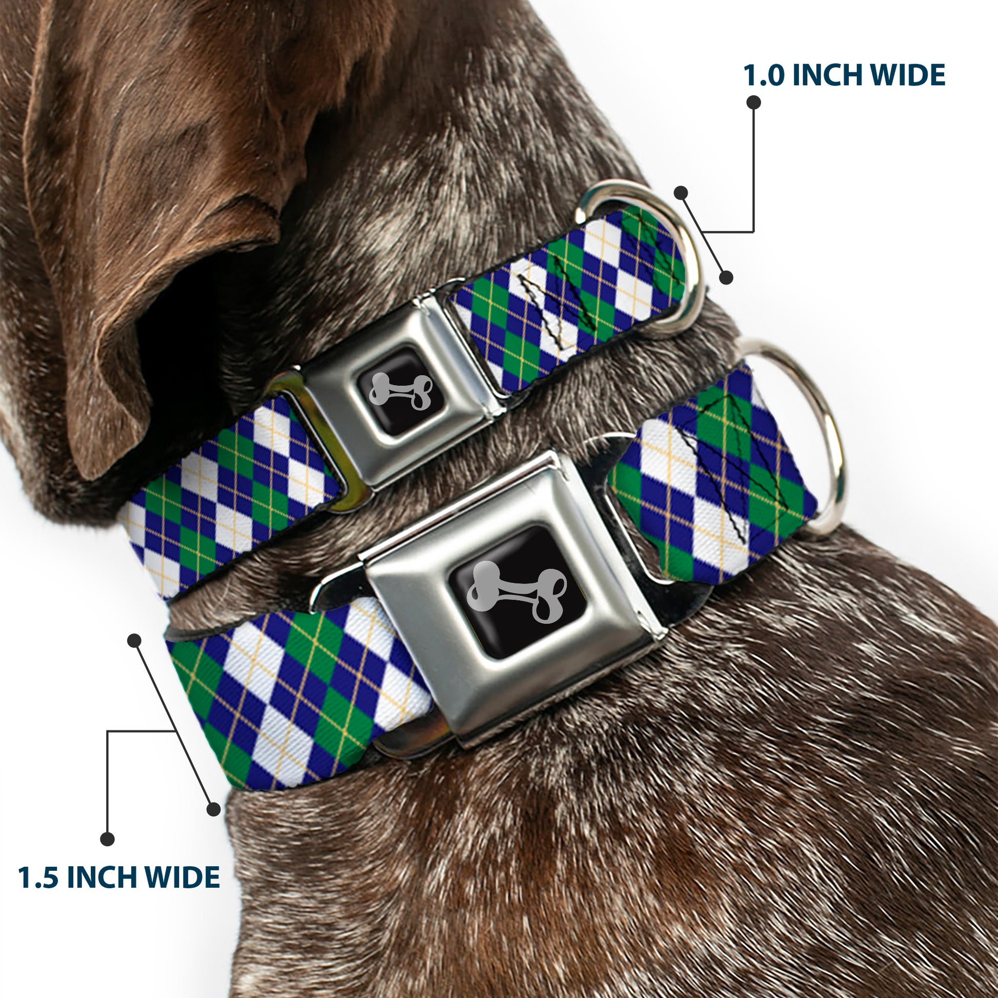 Dog Bone Black/Silver Seatbelt Buckle Collar - Argyle Navy/Green/White/Gold Seatbelt Buckle Collars Buckle-Down