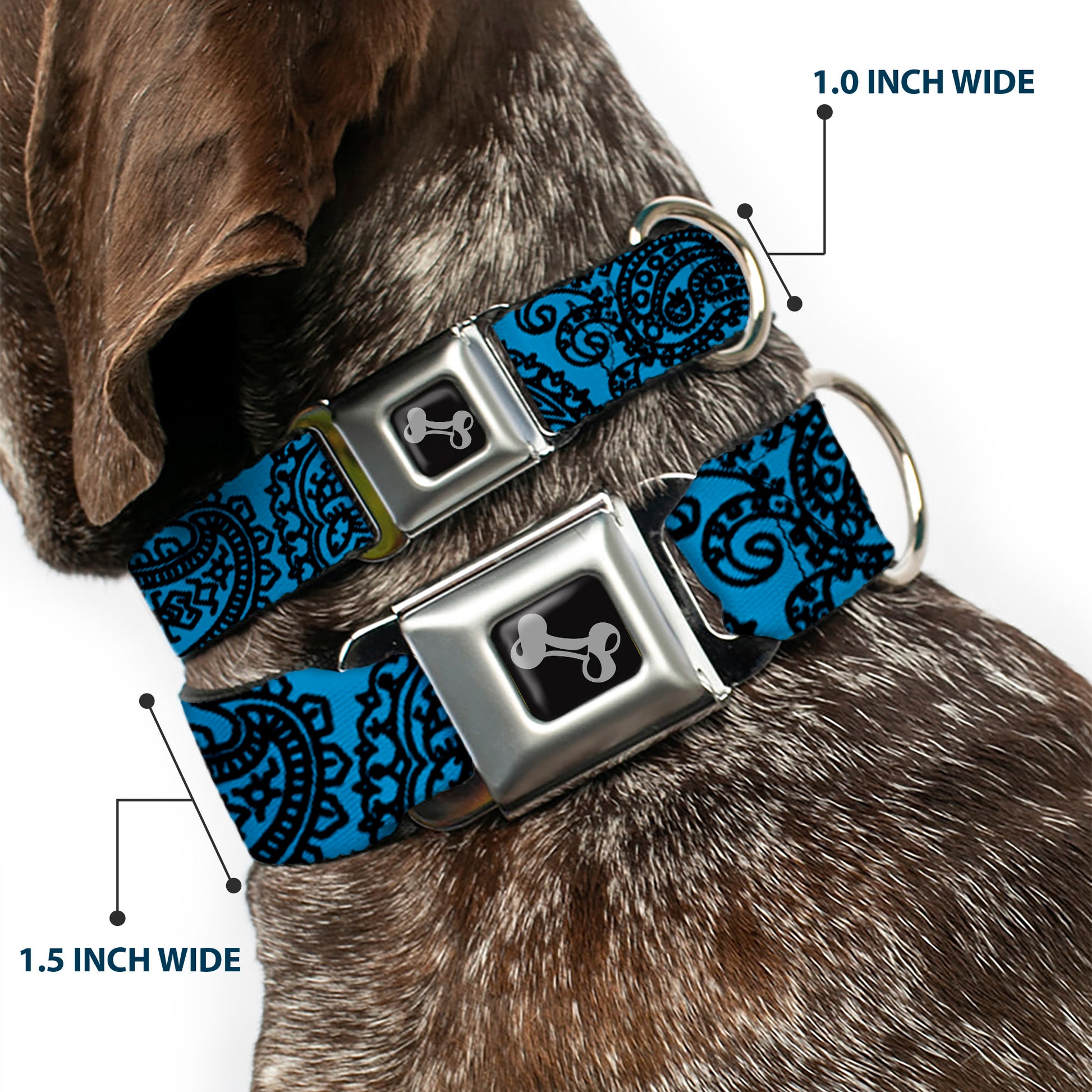 Dog Bone Seatbelt Buckle Collar - Bandana/Skulls Baby Blue/Black Seatbelt Buckle Collars Buckle-Down