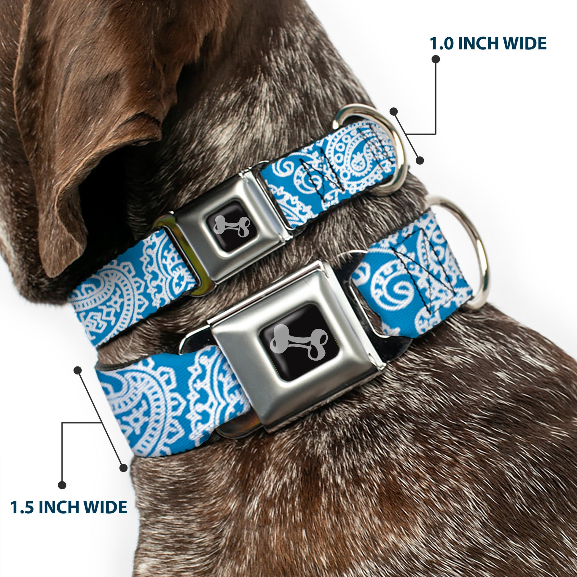 Dog Bone Seatbelt Buckle Collar - Bandana/Skulls Baby Blue/White Seatbelt Buckle Collars Buckle-Down