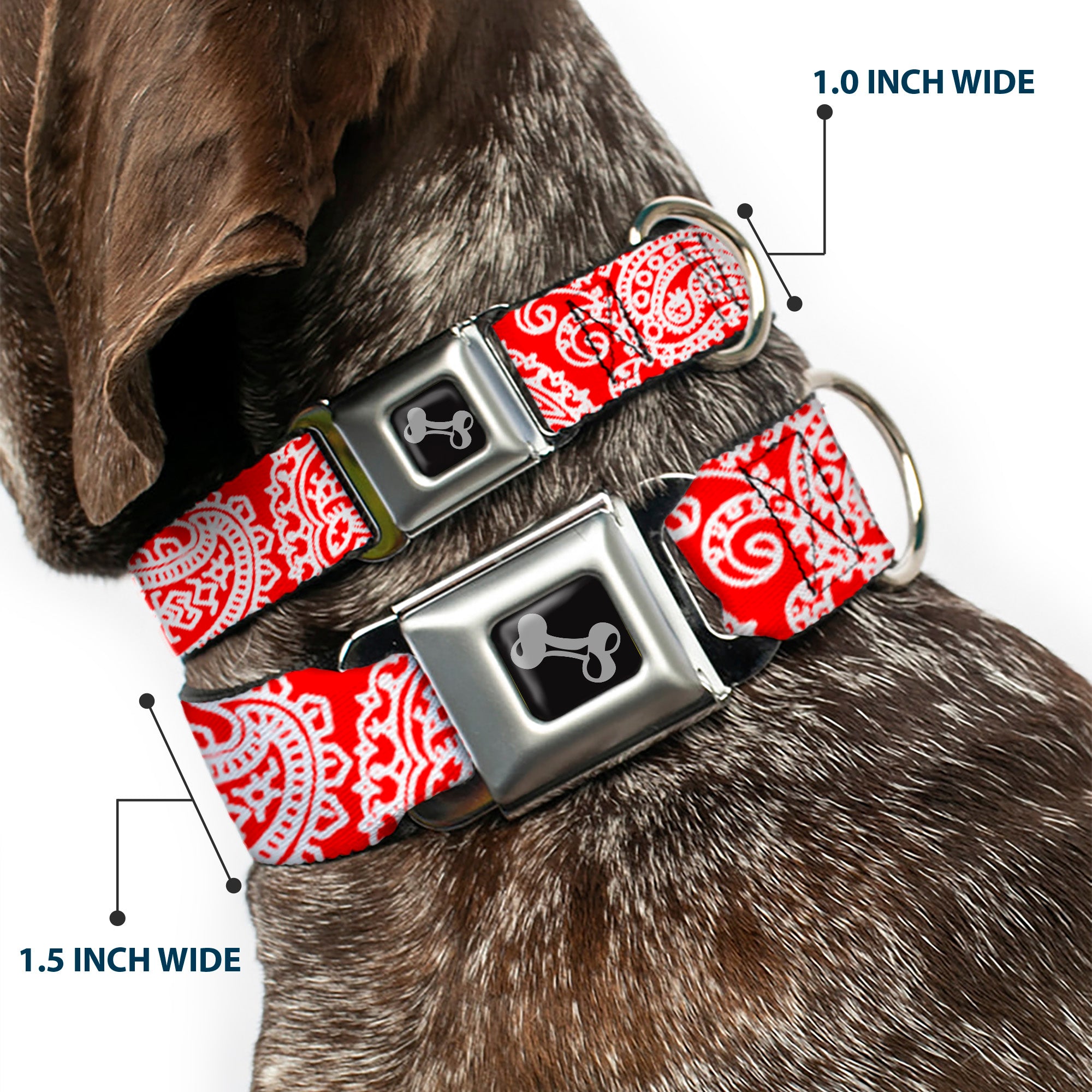 Dog Bone Seatbelt Buckle Collar - Bandana/Skulls Red/White Seatbelt Buckle Collars Buckle-Down