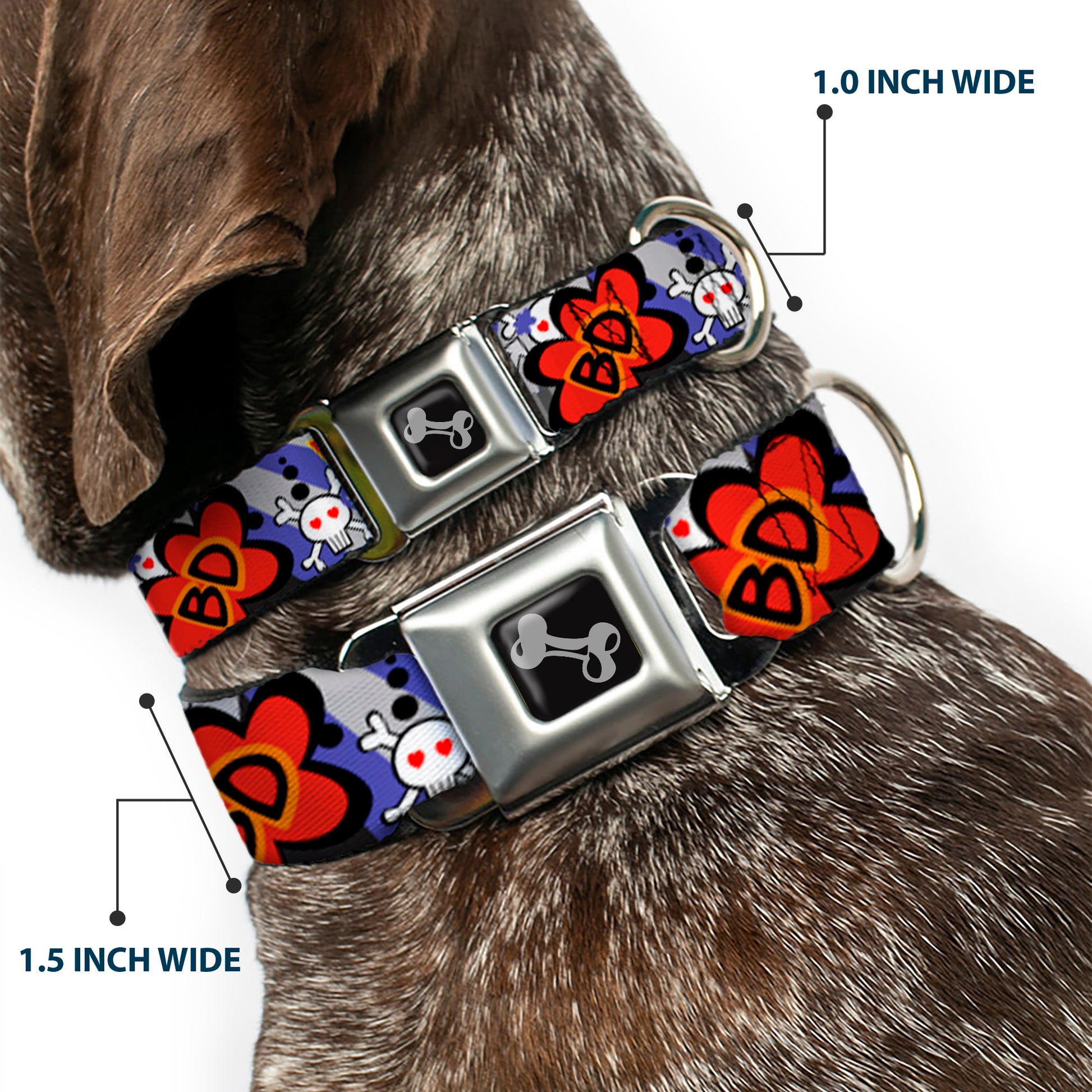 Dog Bone Seatbelt Buckle Collar - BD Cartoon Seatbelt Buckle Collars Buckle-Down