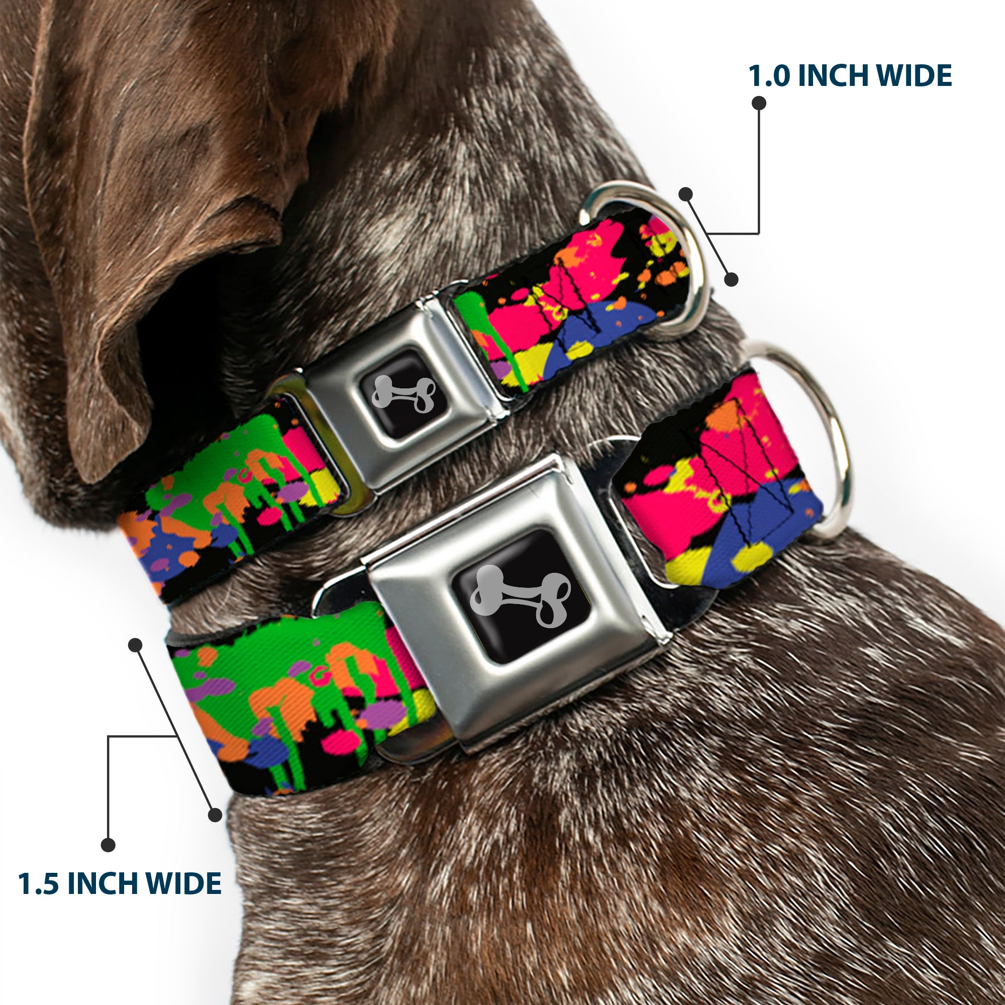 Dog Bone Seatbelt Buckle Collar - BD Paint Splatter Black/Neon Seatbelt Buckle Collars Buckle-Down