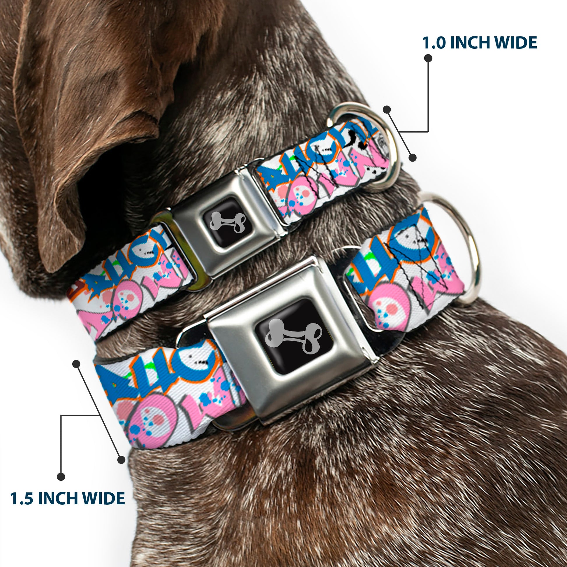 Dog Bone Seatbelt Buckle Collar - BD Tag Seatbelt Buckle Collars Buckle-Down