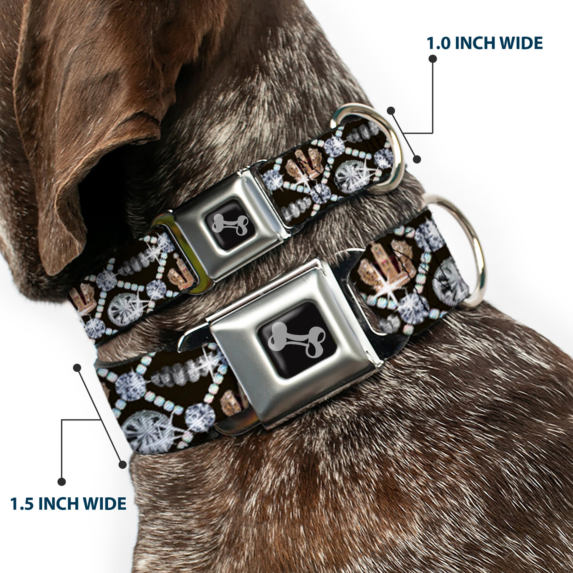 Dog Bone Seatbelt Buckle Collar - Bling Seatbelt Buckle Collars Buckle-Down
