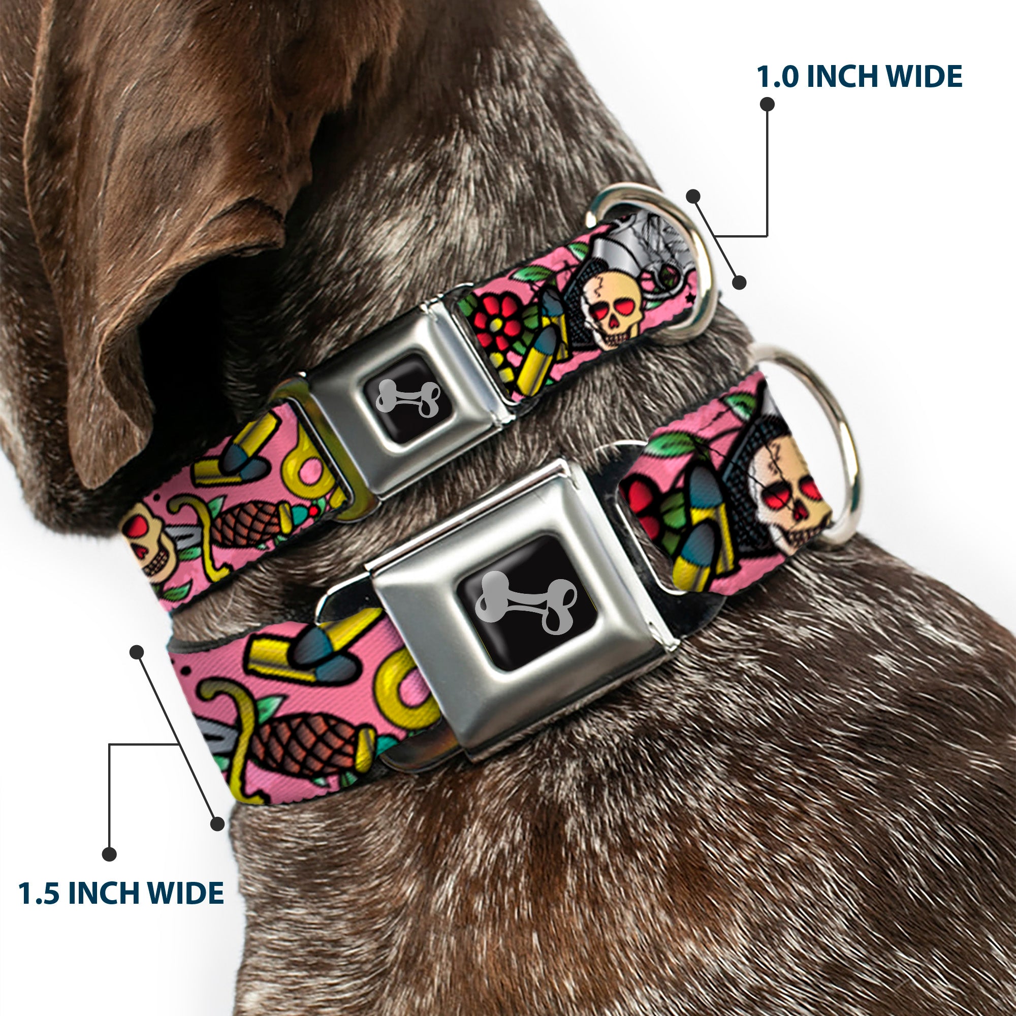 Dog Bone Seatbelt Buckle Collar - Born to Raise Hell Pink Seatbelt Buckle Collars Buckle-Down