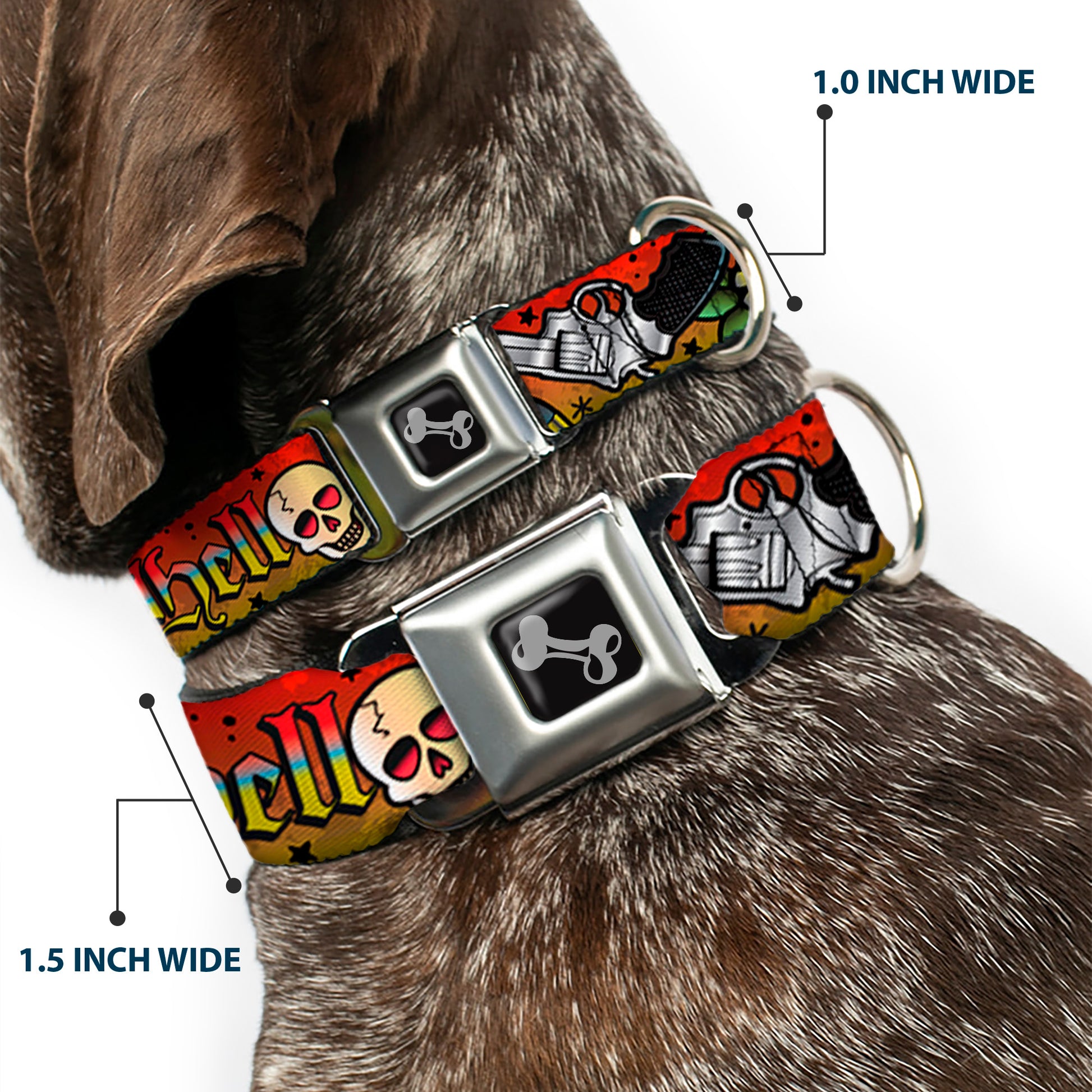 Dog Bone Seatbelt Buckle Collar - Born to Raise Hell Red Seatbelt Buckle Collars Buckle-Down