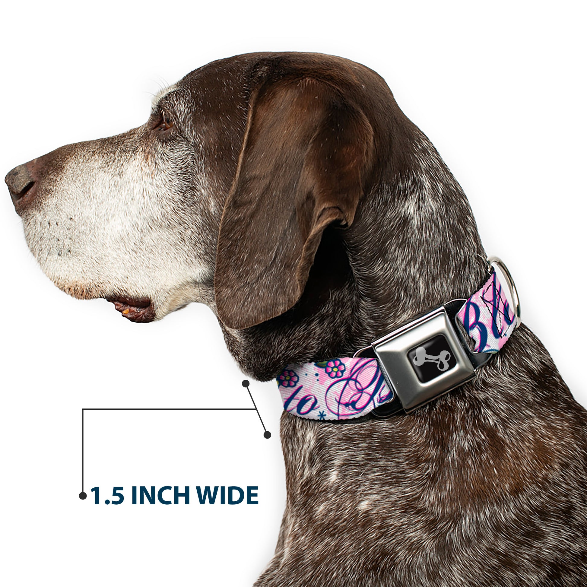 Dog Bone Seatbelt Buckle Collar - Born to Blossom Blue Seatbelt Buckle Collars Buckle-Down