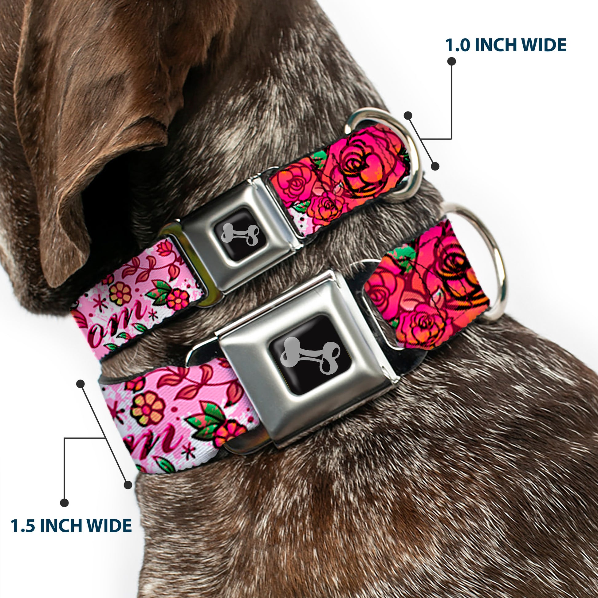 Dog Bone Seatbelt Buckle Collar - Born to Blossom Pink Seatbelt Buckle Collars Buckle-Down