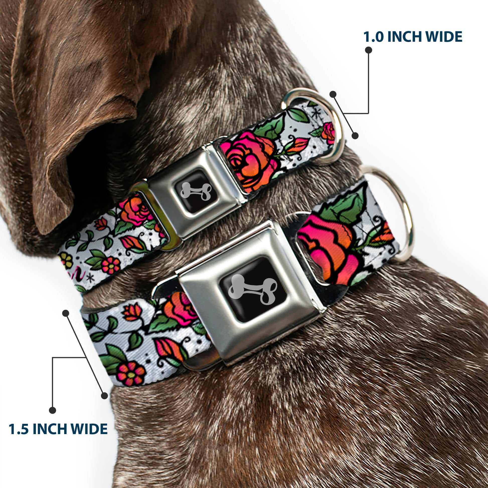 Dog Bone Seatbelt Buckle Collar - Born to Blossom White Seatbelt Buckle Collars Buckle-Down