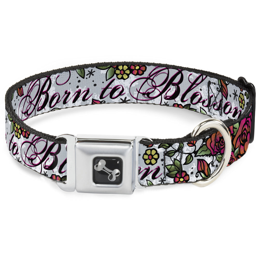 Dog Bone Seatbelt Buckle Collar - Born to Blossom White Seatbelt Buckle Collars Buckle-Down