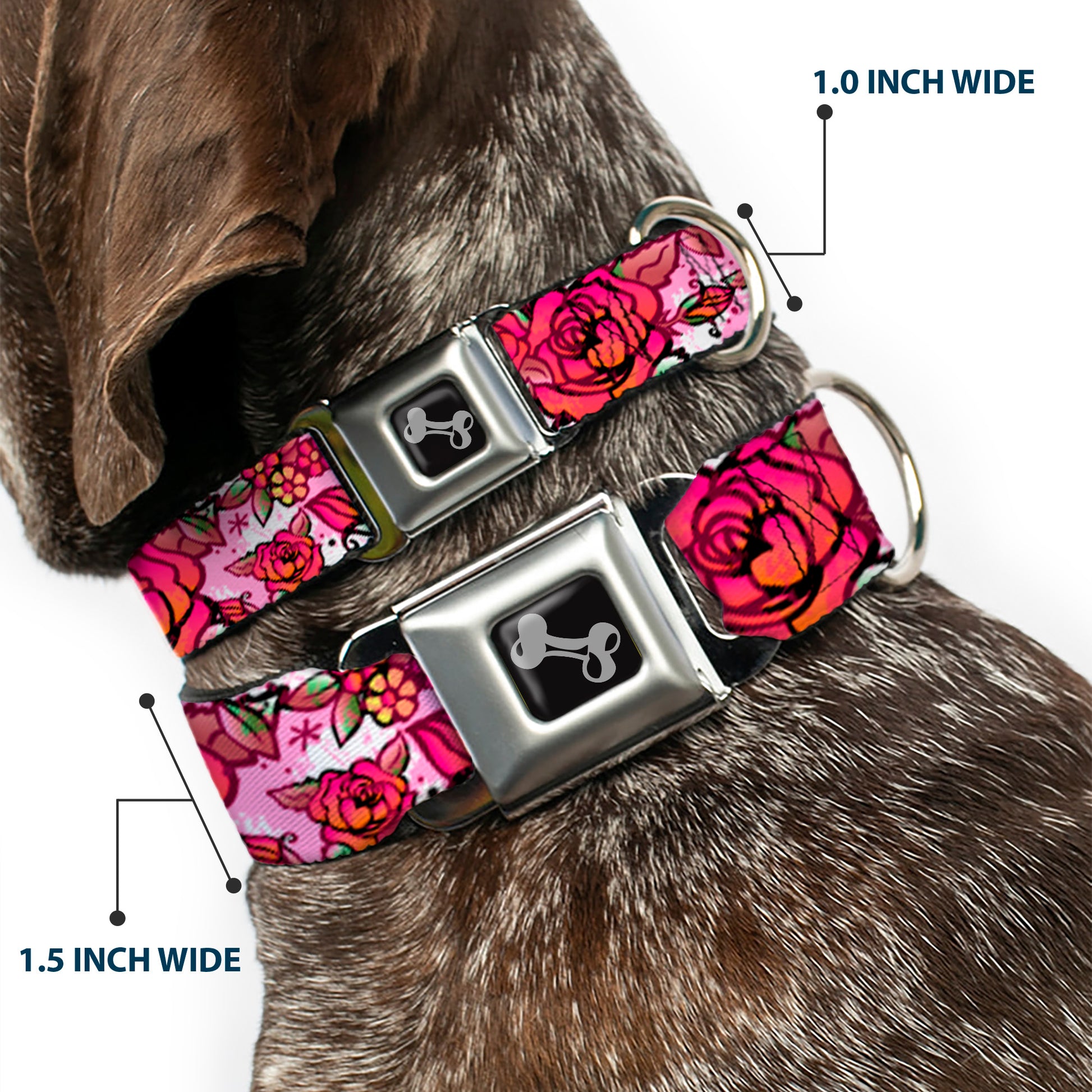 Dog Bone Seatbelt Buckle Collar - Born to Blossom CLOSE-UP White Seatbelt Buckle Collars Buckle-Down