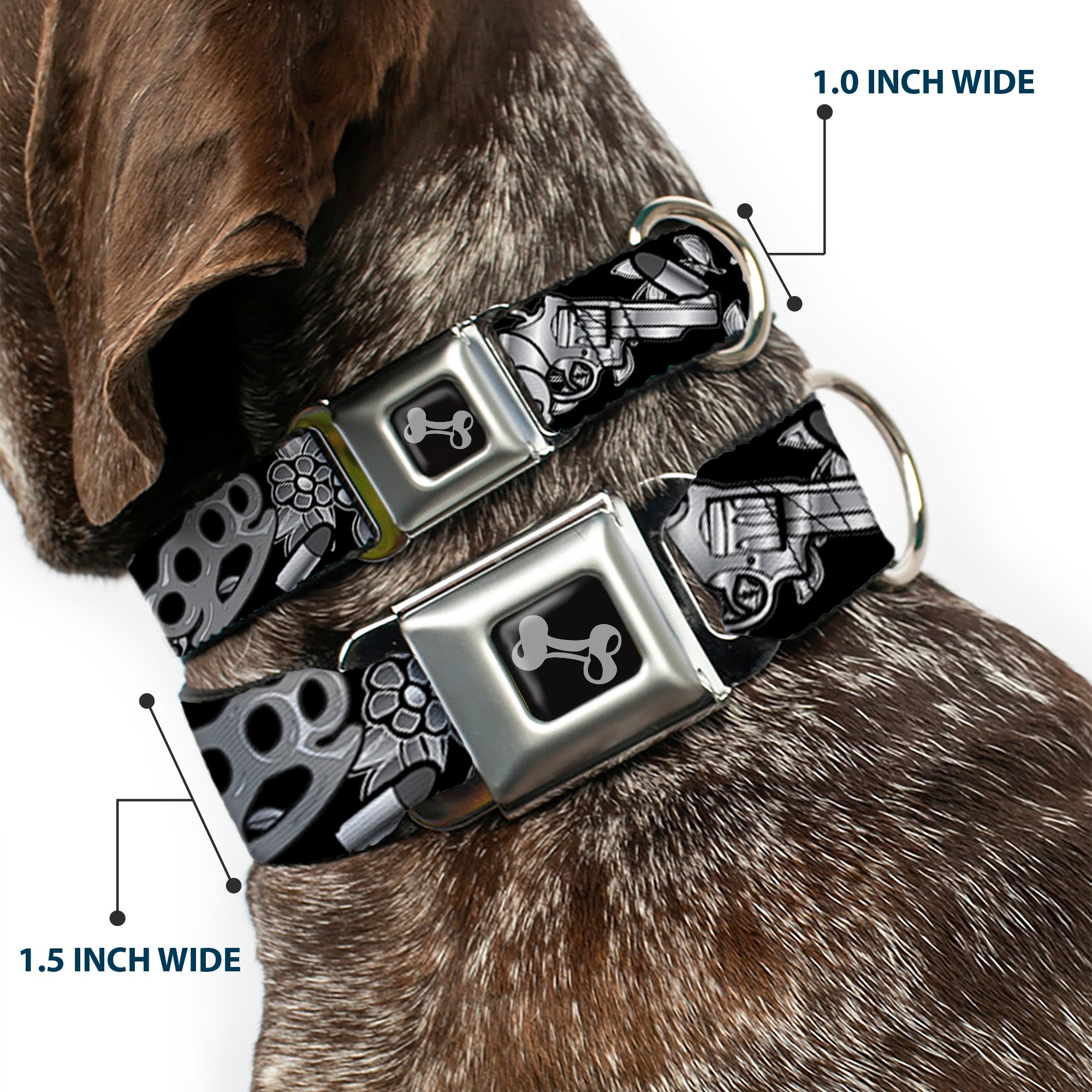Dog Bone Seatbelt Buckle Collar - Born to Raise Hell Black/White Seatbelt Buckle Collars Buckle-Down