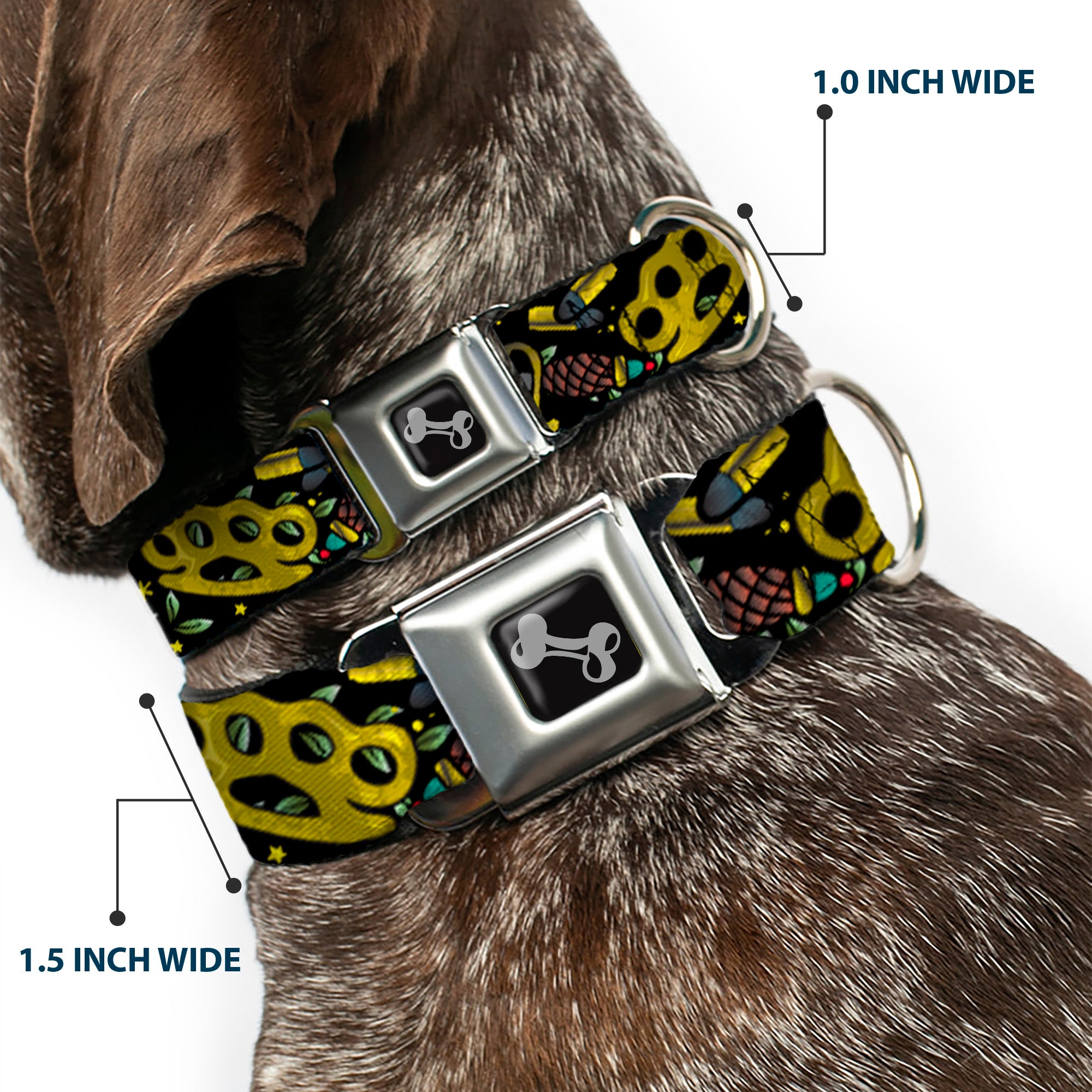 Dog Bone Seatbelt Buckle Collar - Born to Raise Hell CLOSE-UP Black Seatbelt Buckle Collars Buckle-Down
