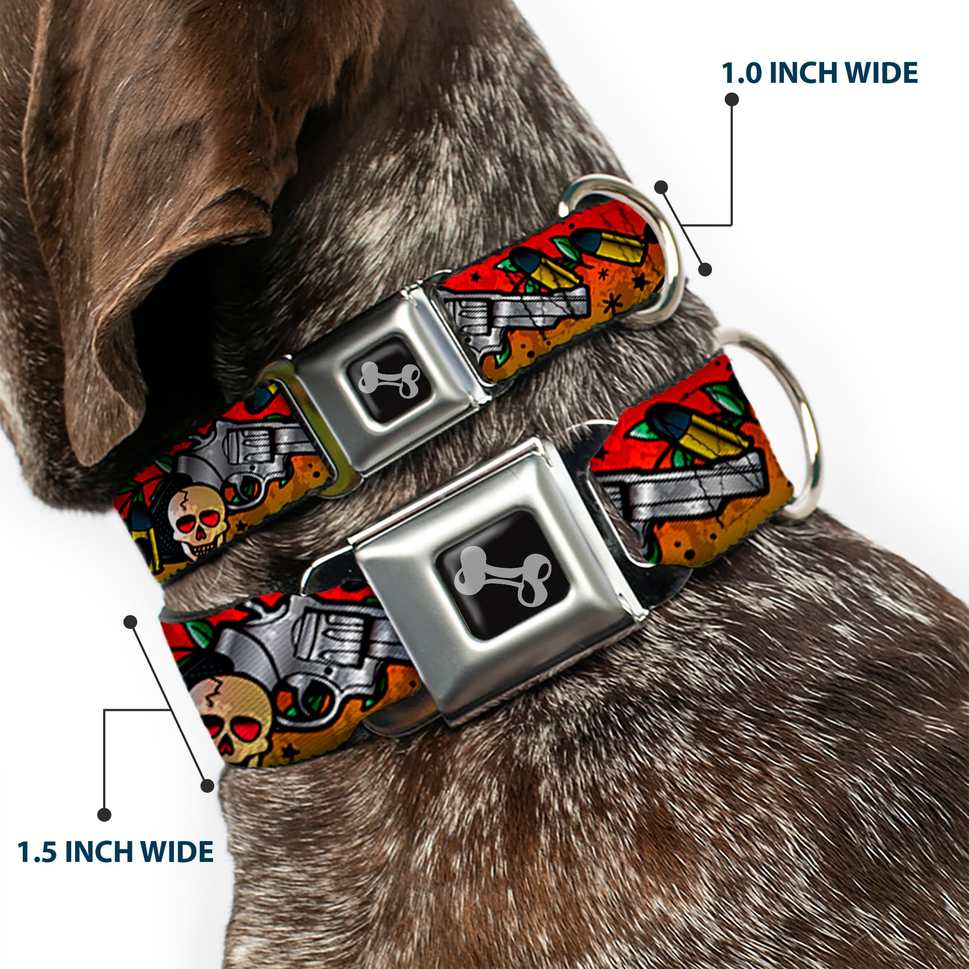 Dog Bone Seatbelt Buckle Collar - Born to Raise Hell CLOSE-UP Red Seatbelt Buckle Collars Buckle-Down